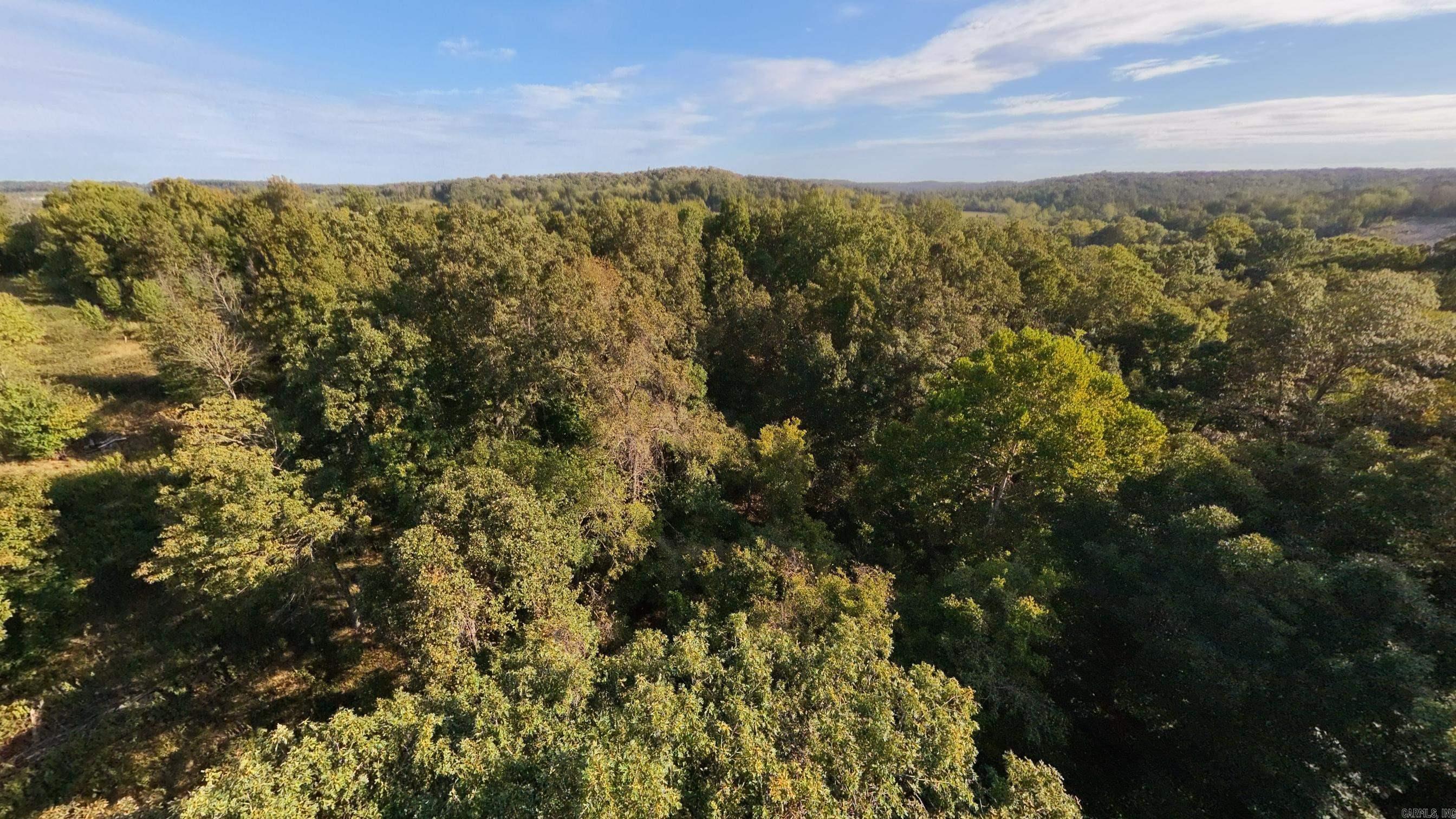 000 Riverbend Road- Lot 13 Property Photo 4