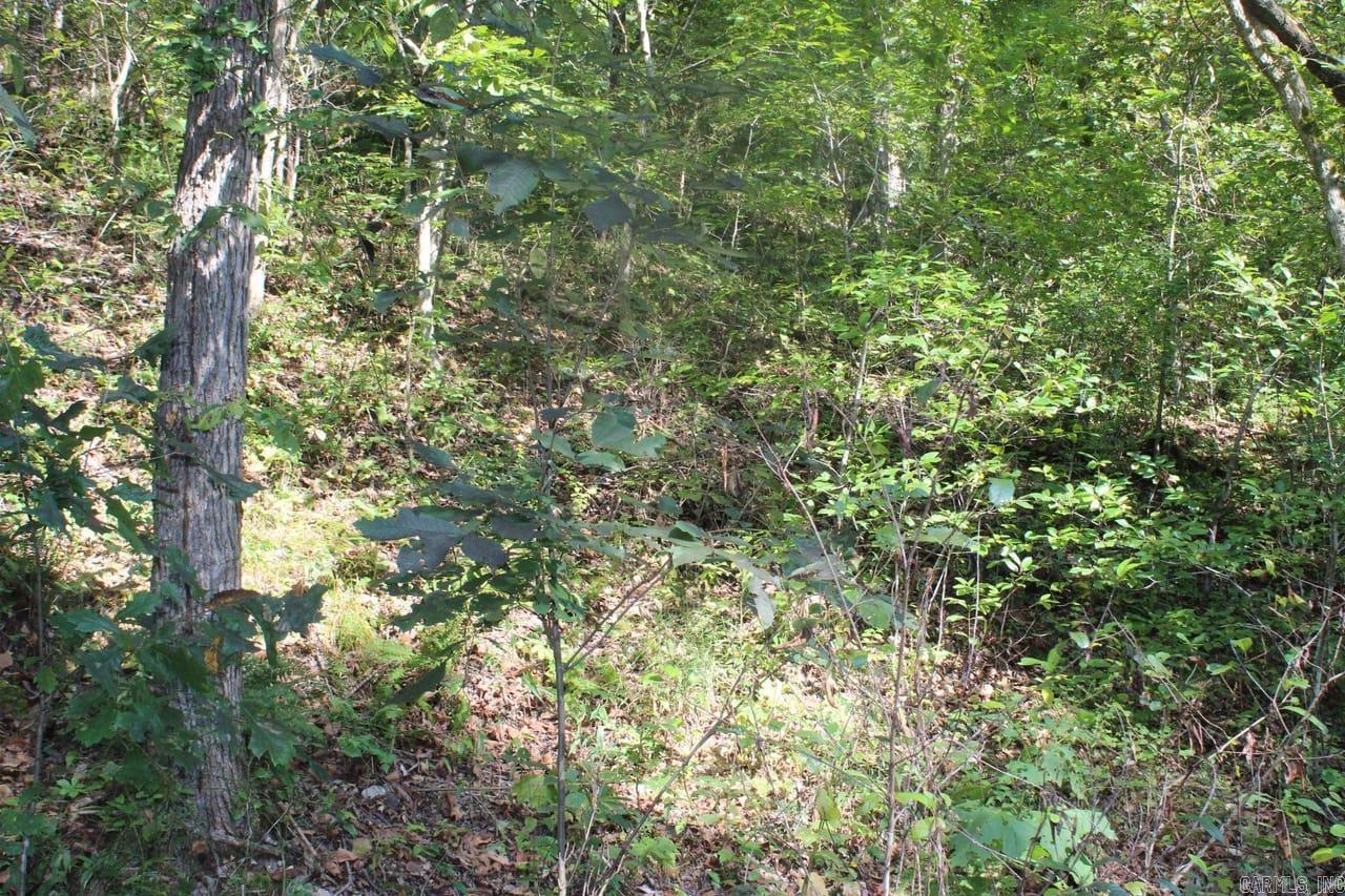 307 Bammy Drive Property Photo 16