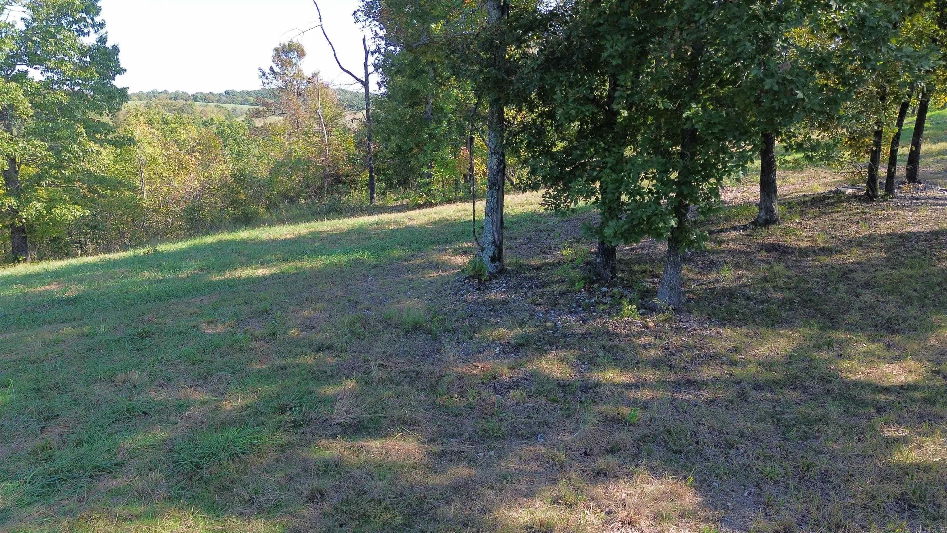 307 Bammy Drive Property Photo 23
