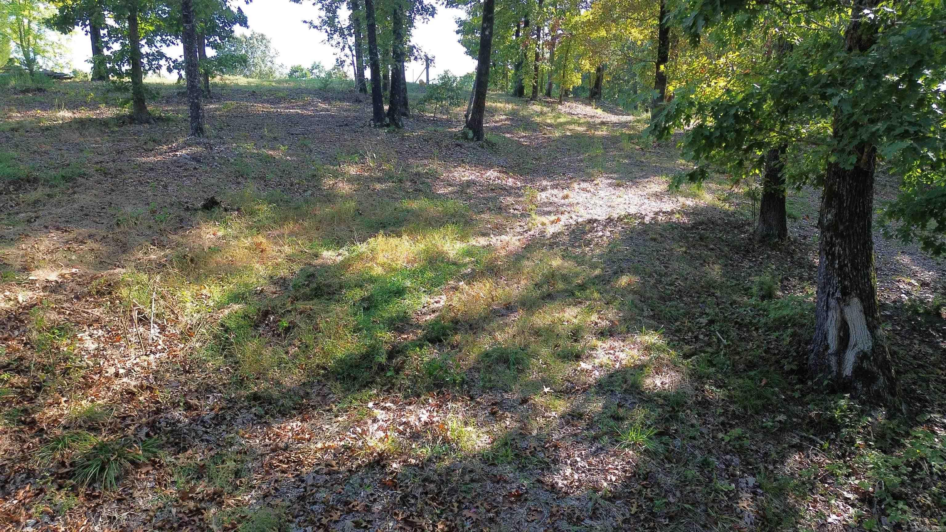 307 Bammy Drive Property Photo 24