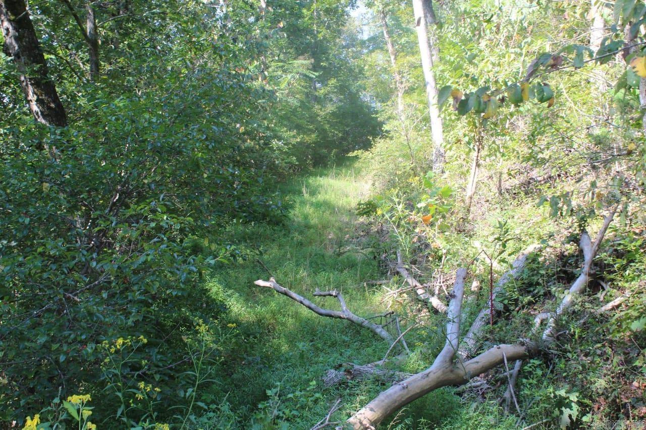 307 Bammy Drive Property Photo 25