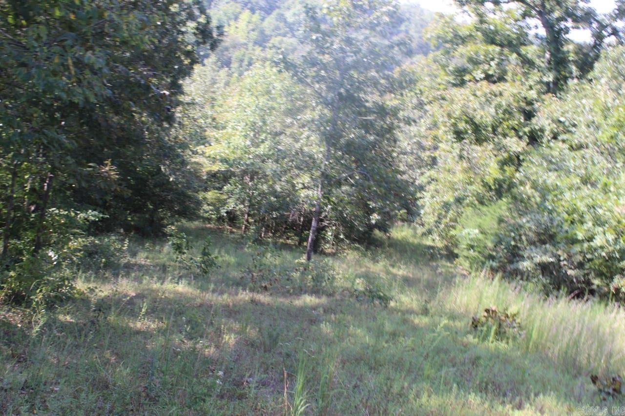 307 Bammy Drive Property Photo 27