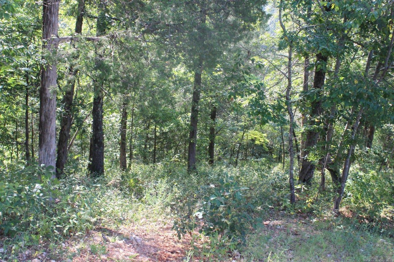307 Bammy Drive Property Photo 28