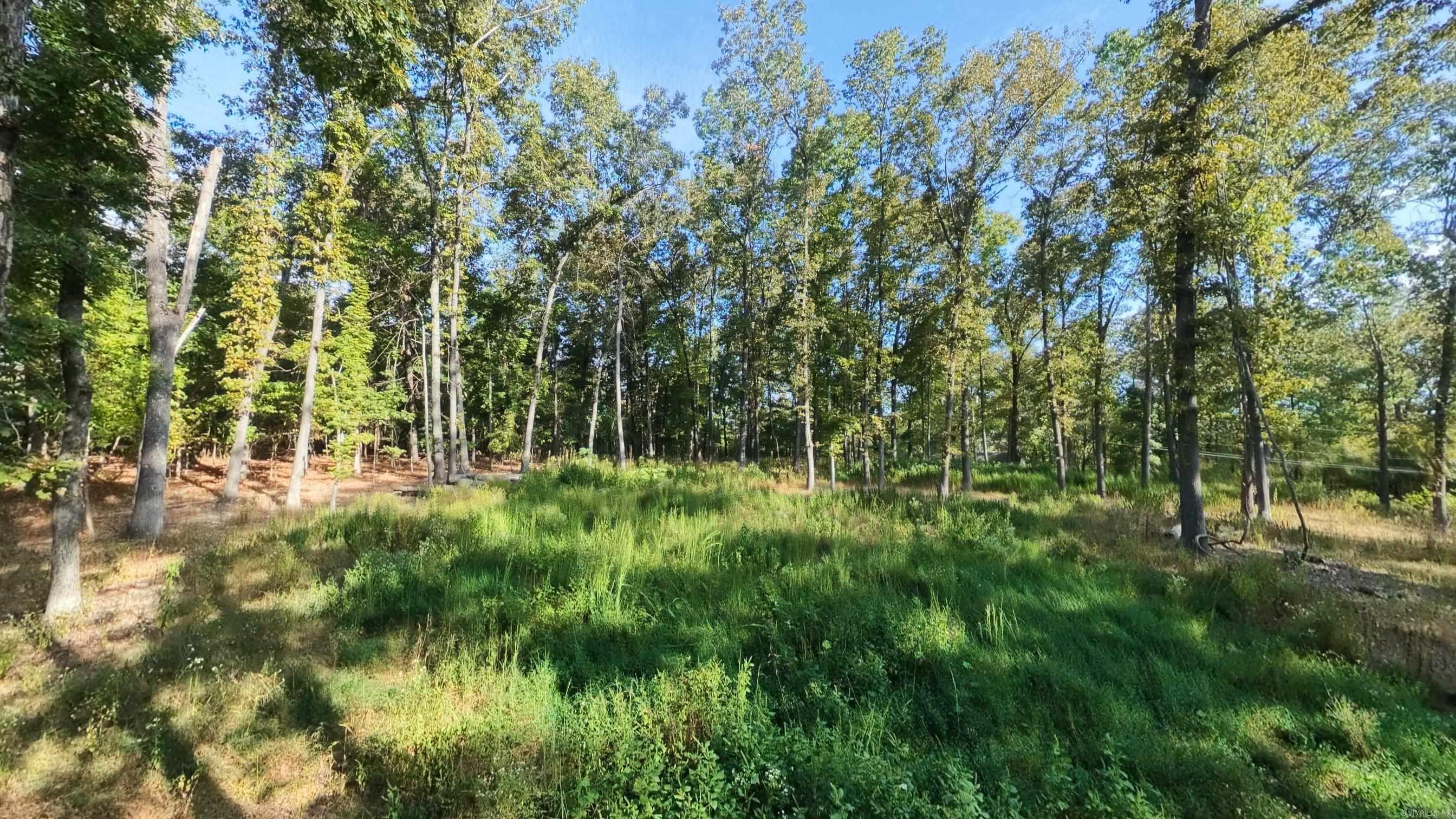 000 Riverbend Road- Lot 14 Property Photo 1