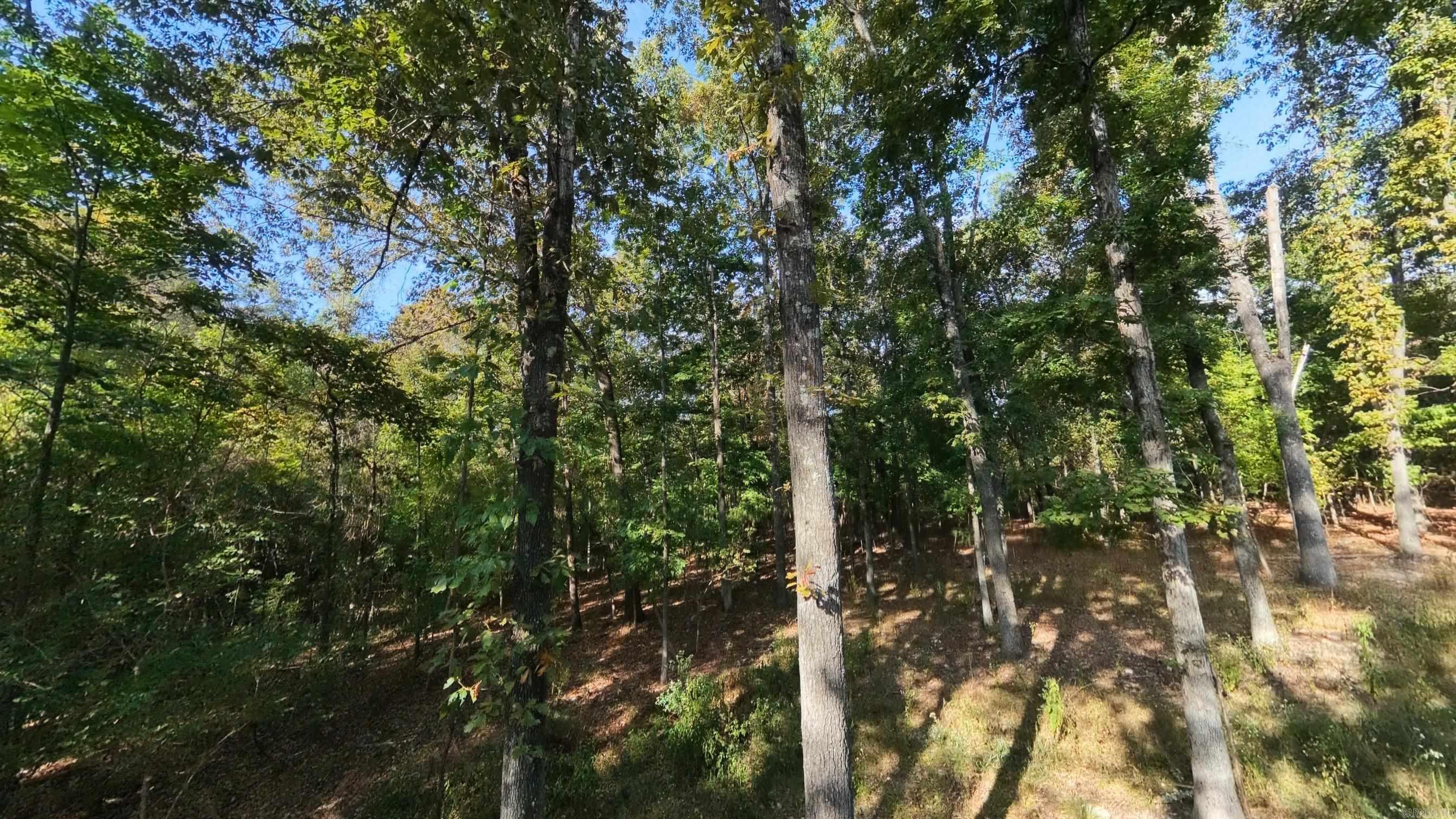 000 Riverbend Road- Lot 14 Property Photo 3