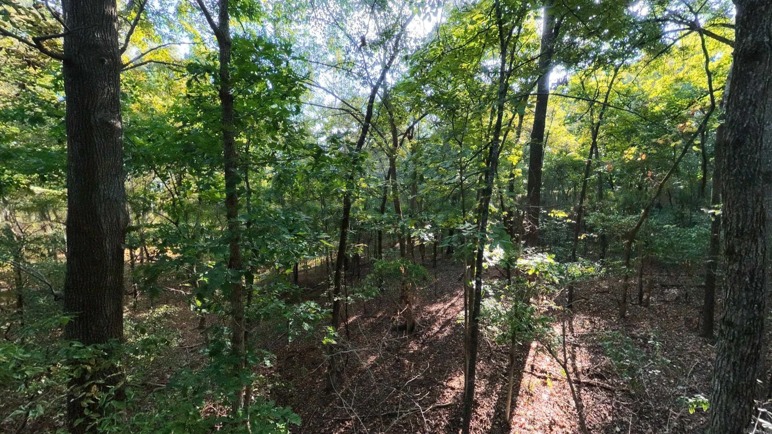 000 Riverbend Road- Lot 18 Property Photo 4
