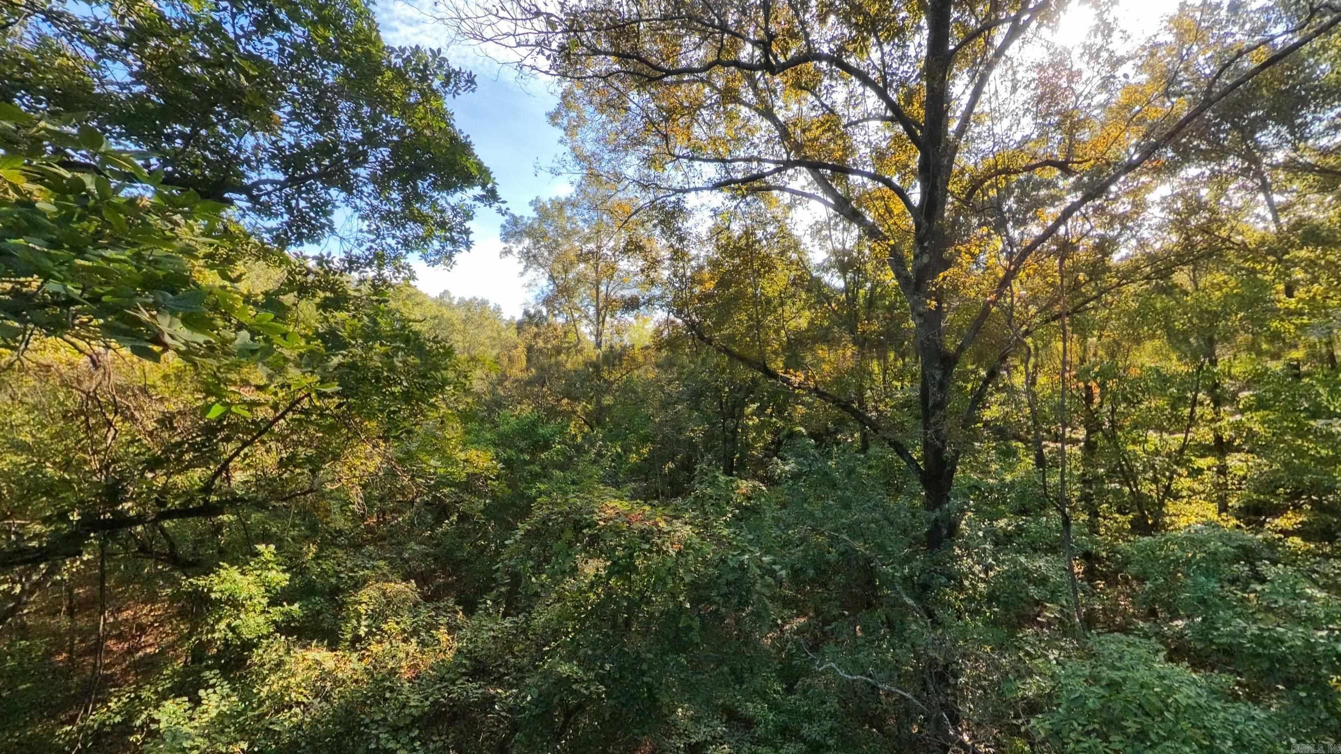 000 Riverbend Road- Lot 19 Property Photo 1