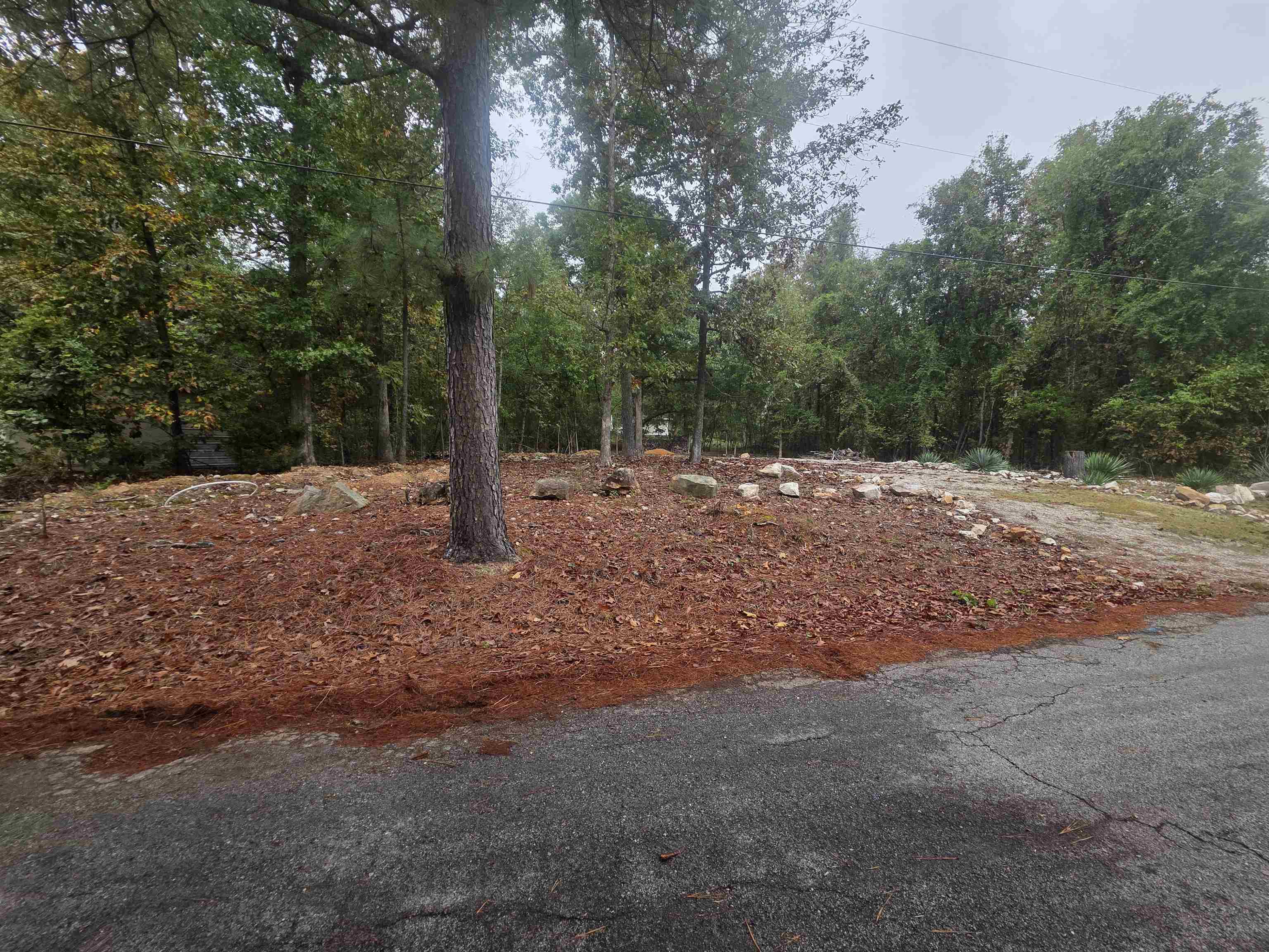 69 Sequoyah Ridge Road Property Photo 5