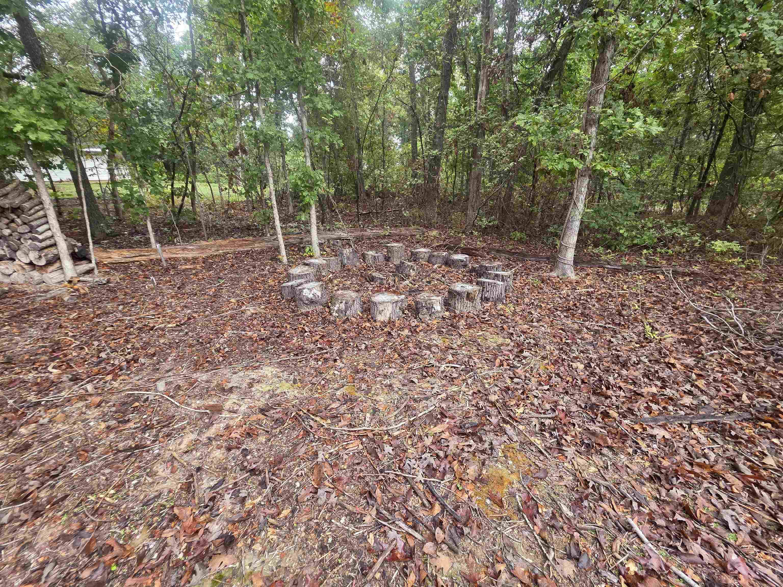 69 Sequoyah Ridge Road Property Photo 13