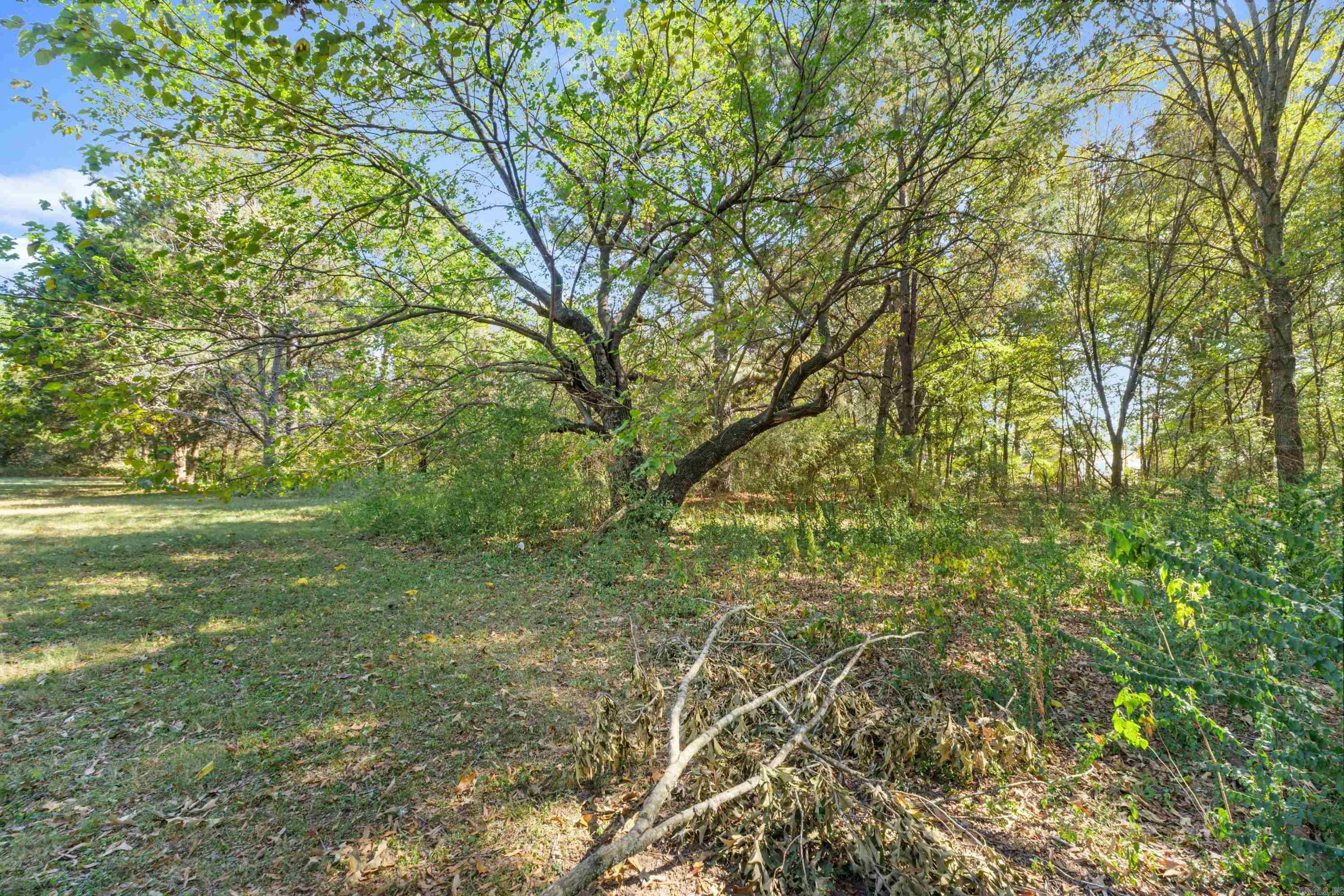 329 Bruce Street Property Photo 30