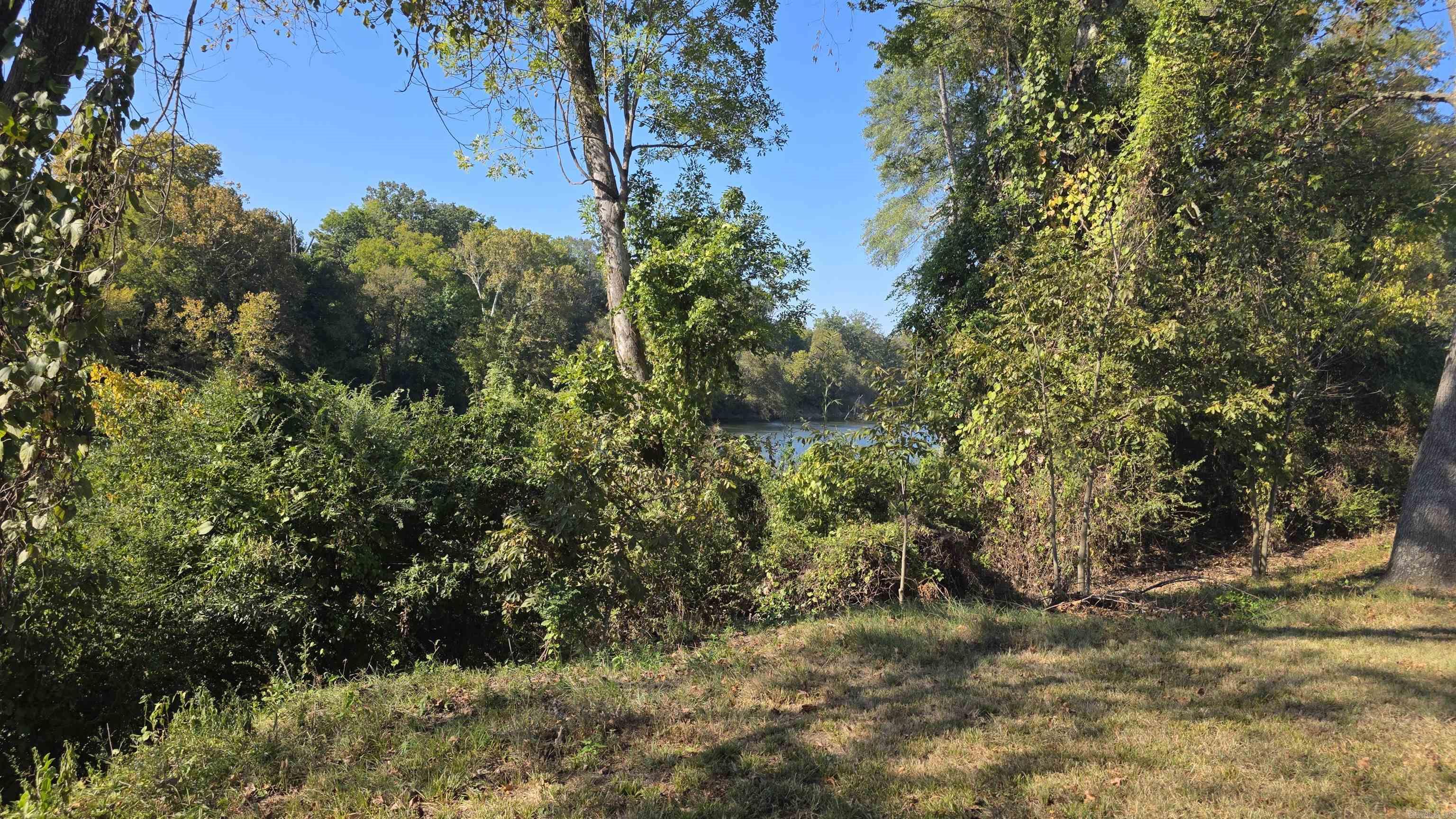 1359 Two Rivers Trail Property Photo 9