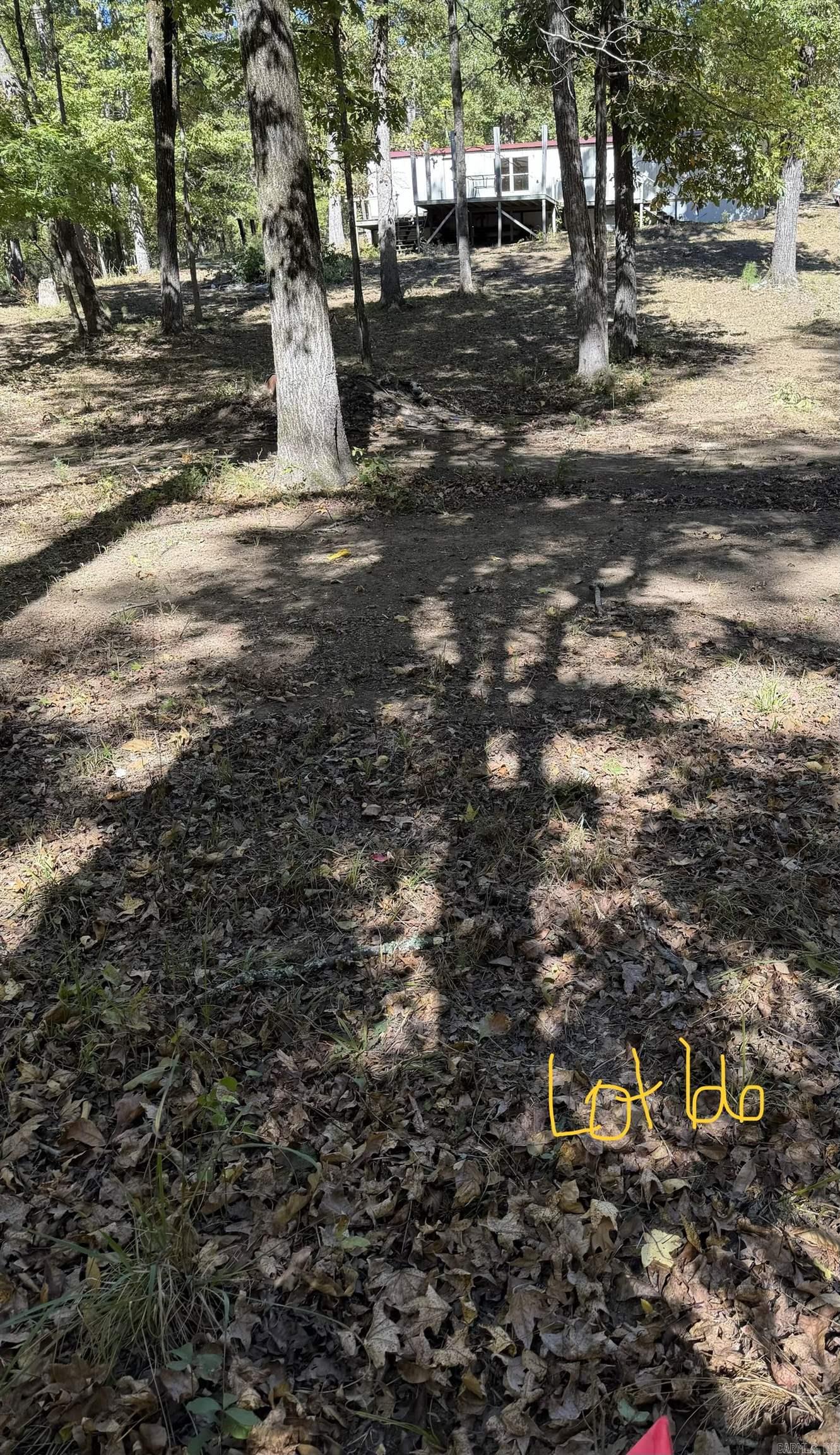 1600 Cove Creek Road Property Photo 5