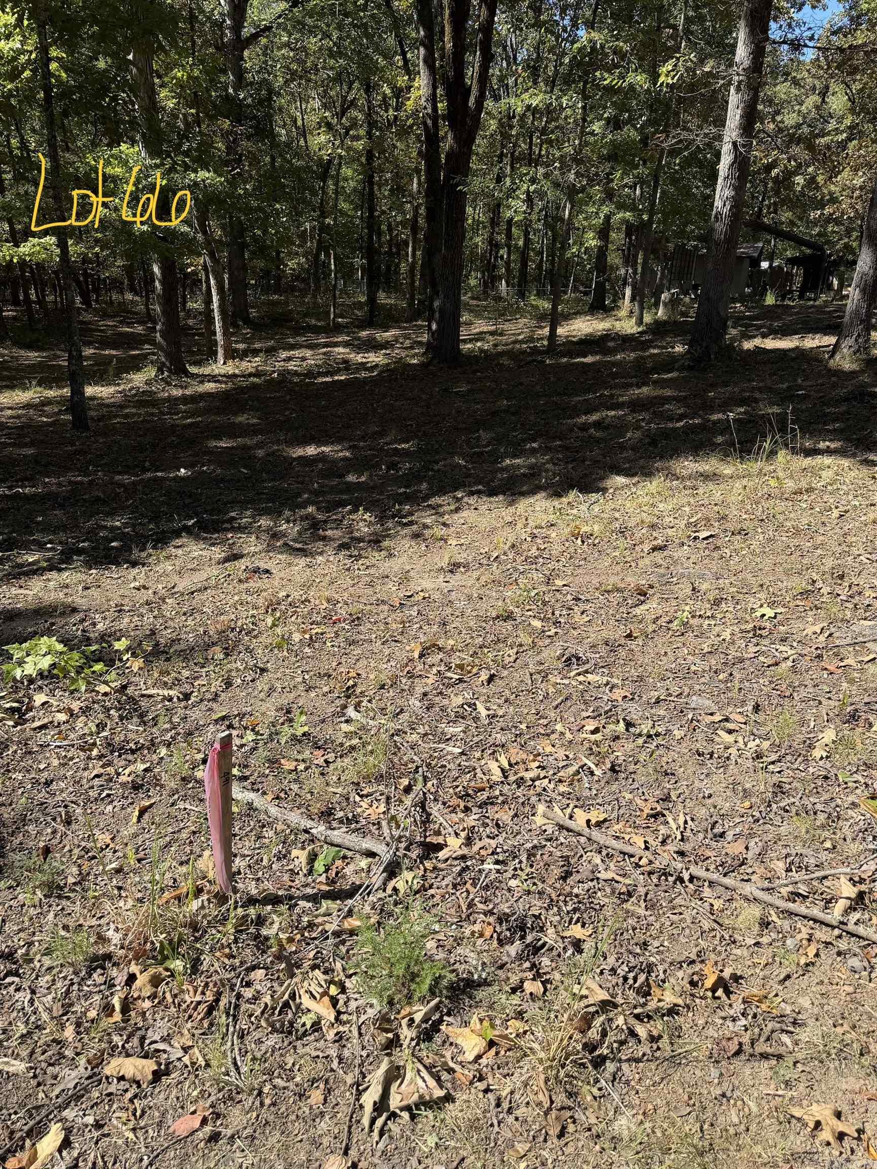 1600 Cove Creek Road Property Photo 6