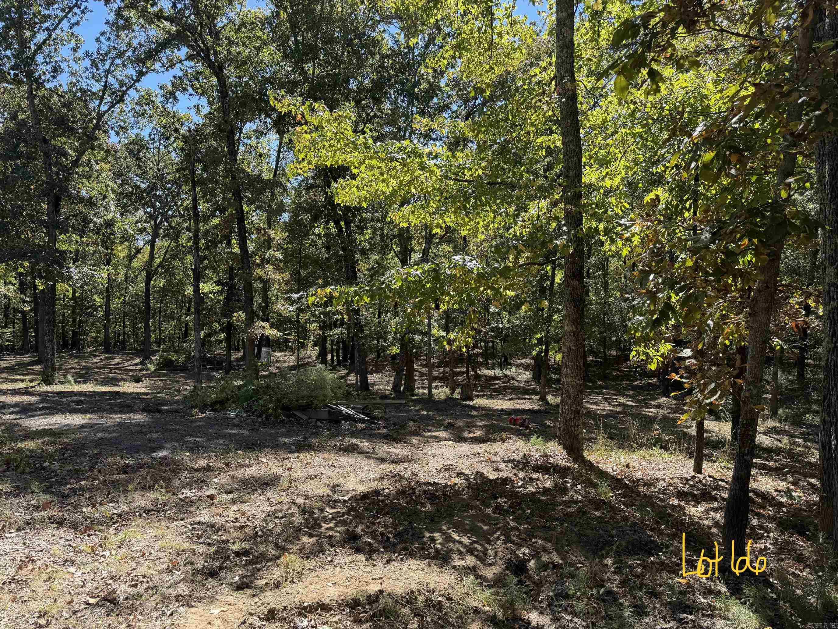 1600 Cove Creek Road Property Photo 7