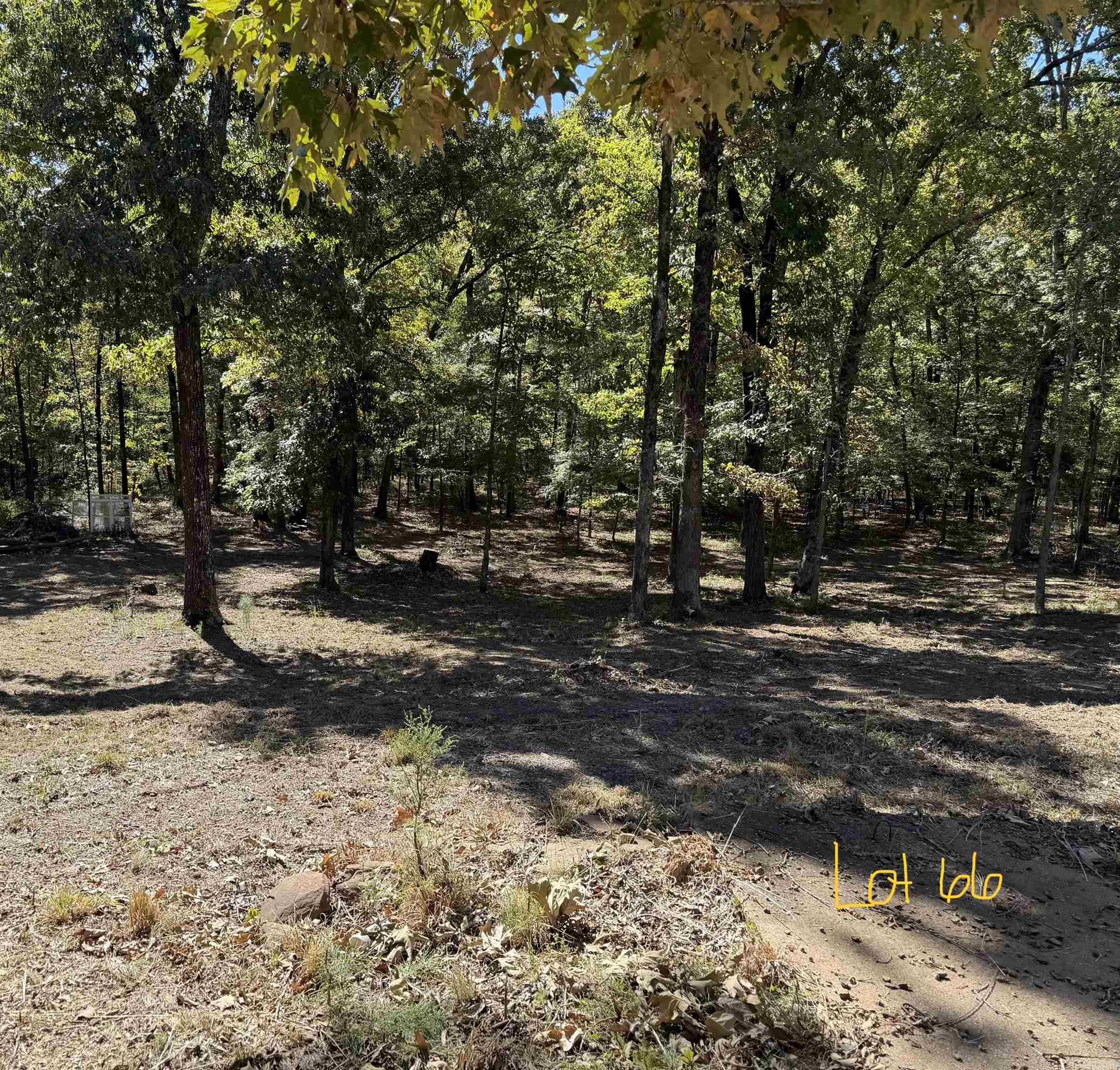 1600 Cove Creek Road Property Photo 8