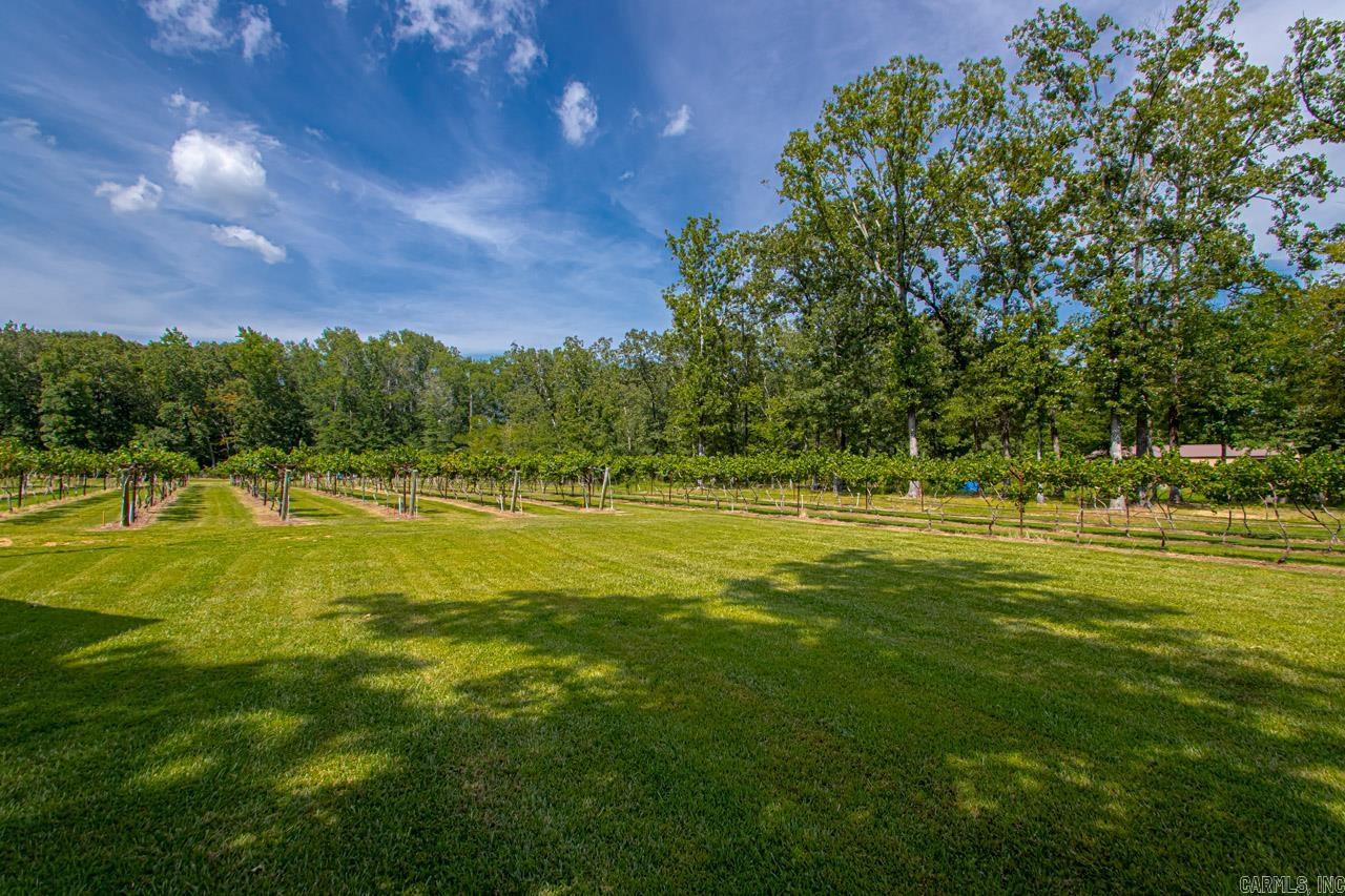 42 Oakwood Drive Property Photo 47