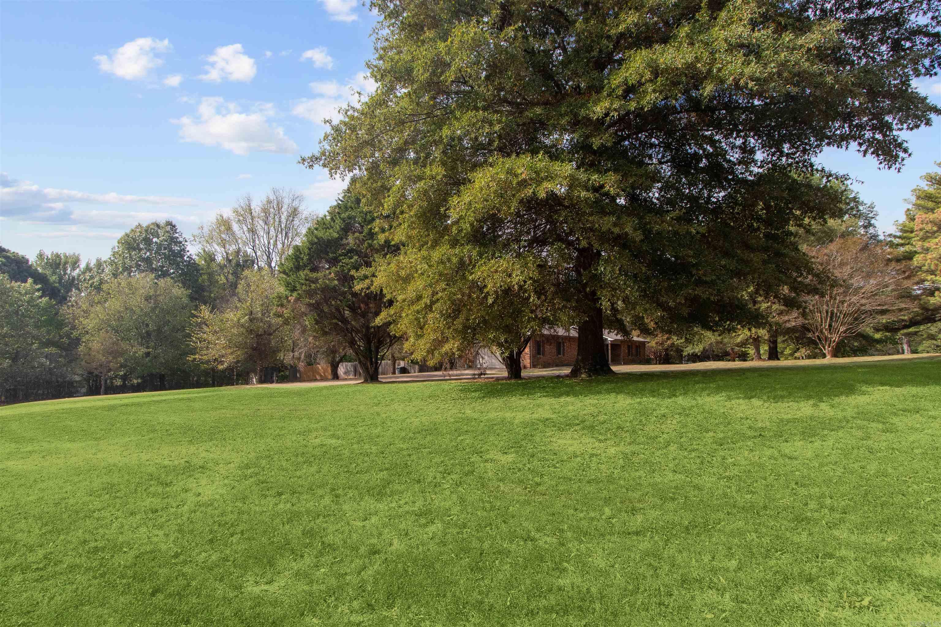 1505 Country Manor Lane Property Photo 31
