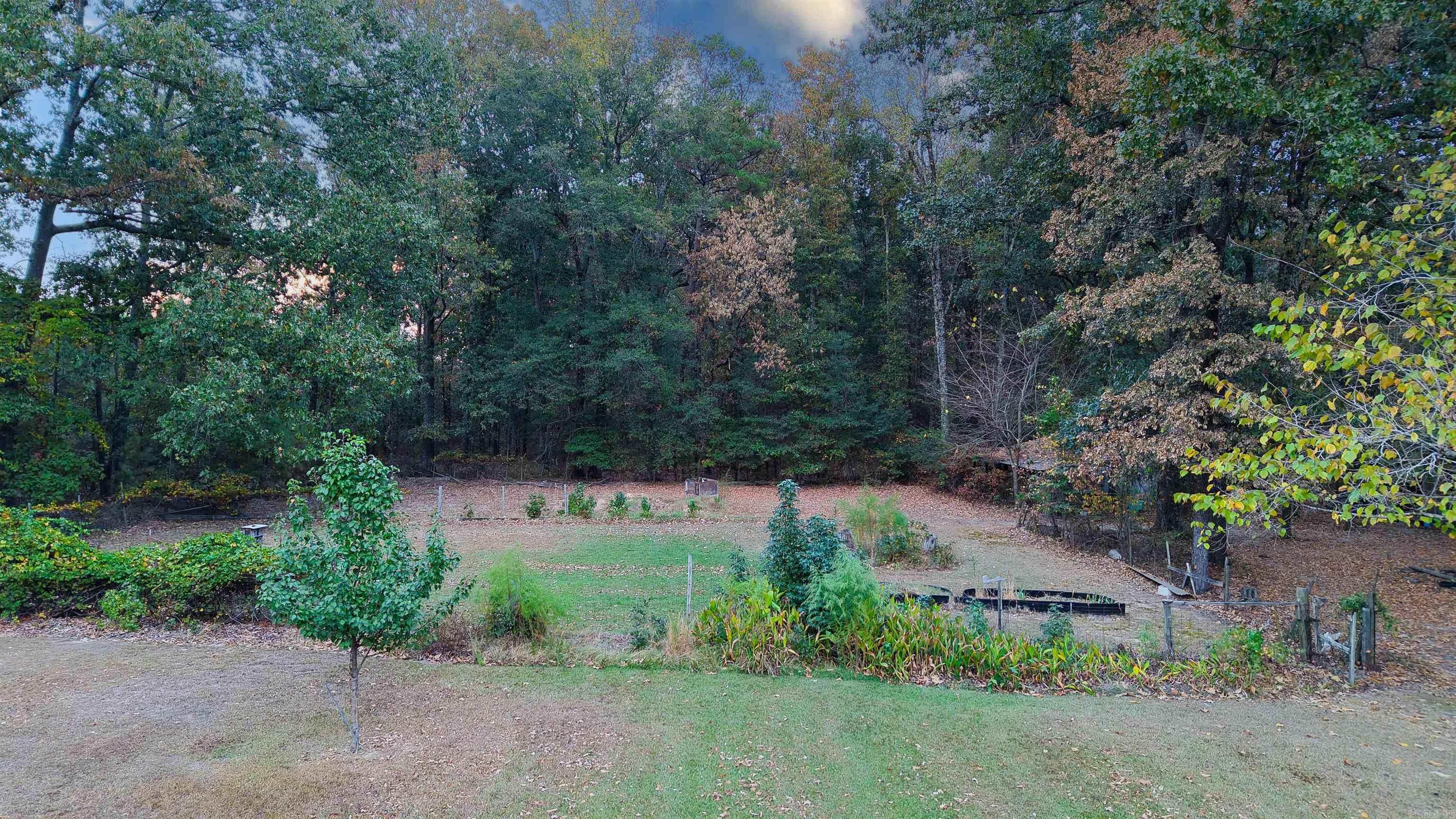 6738 Sorrells Road Property Photo 6