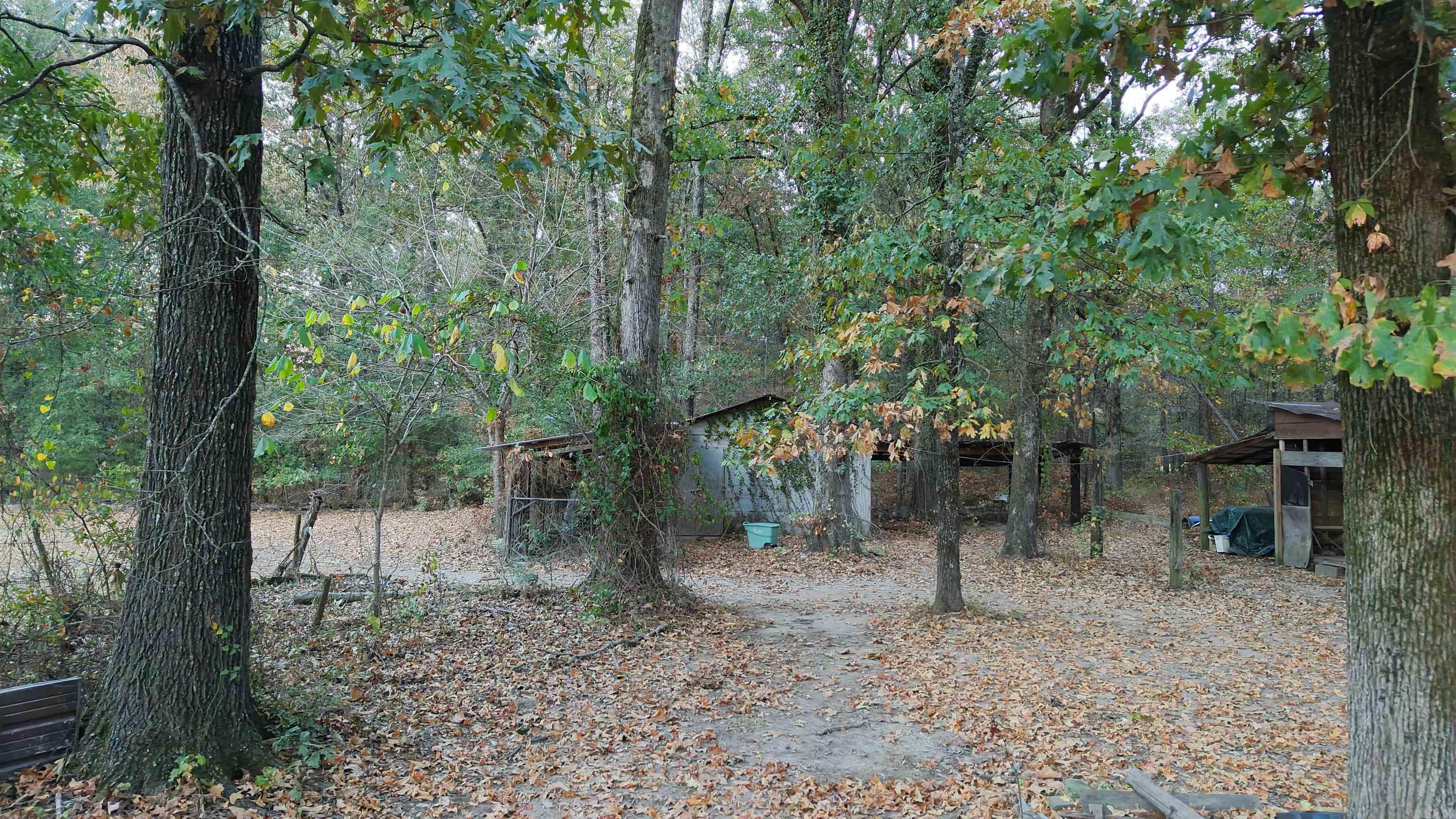 6738 Sorrells Road Property Photo 8
