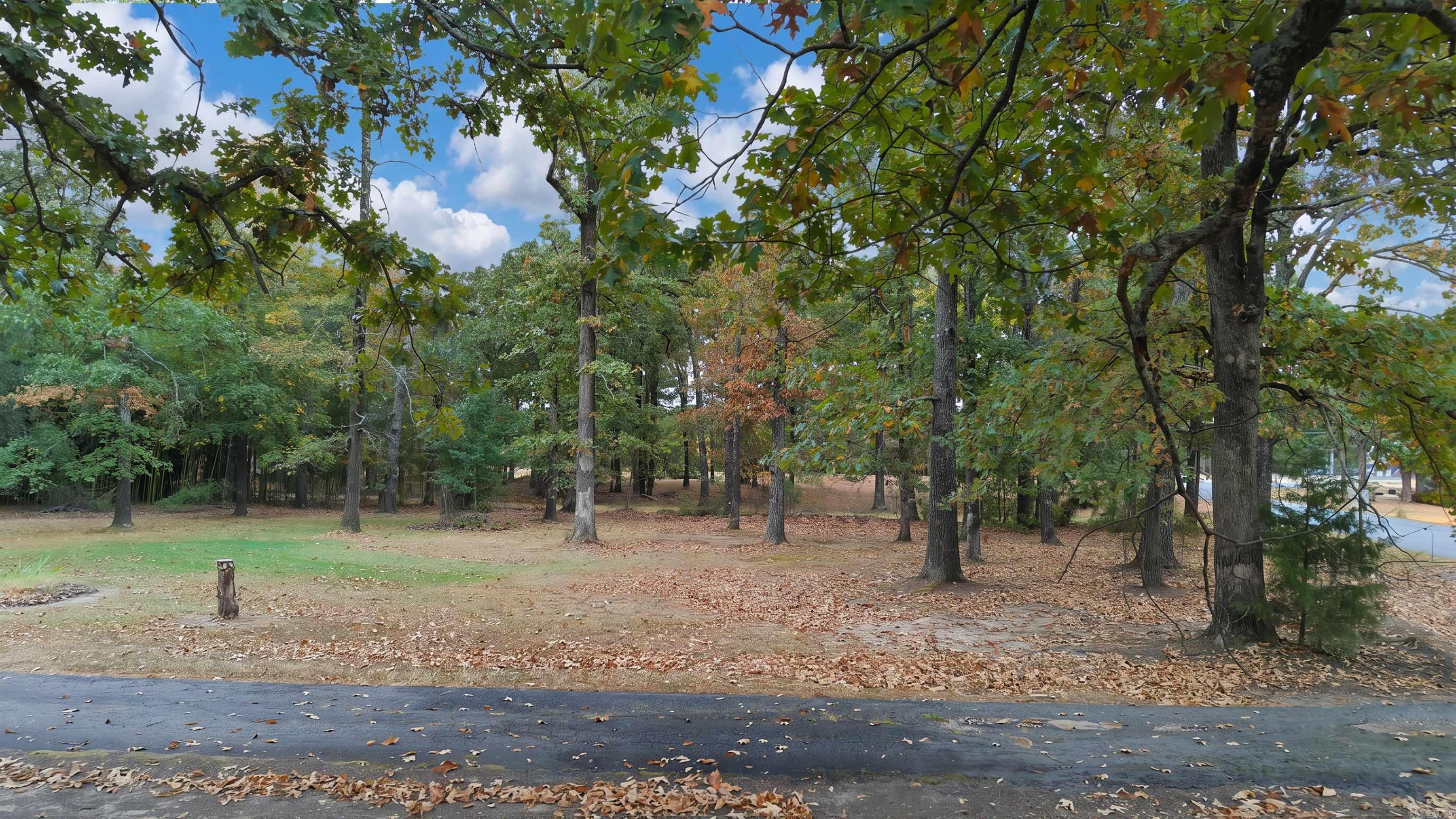 6738 Sorrells Road Property Photo 11