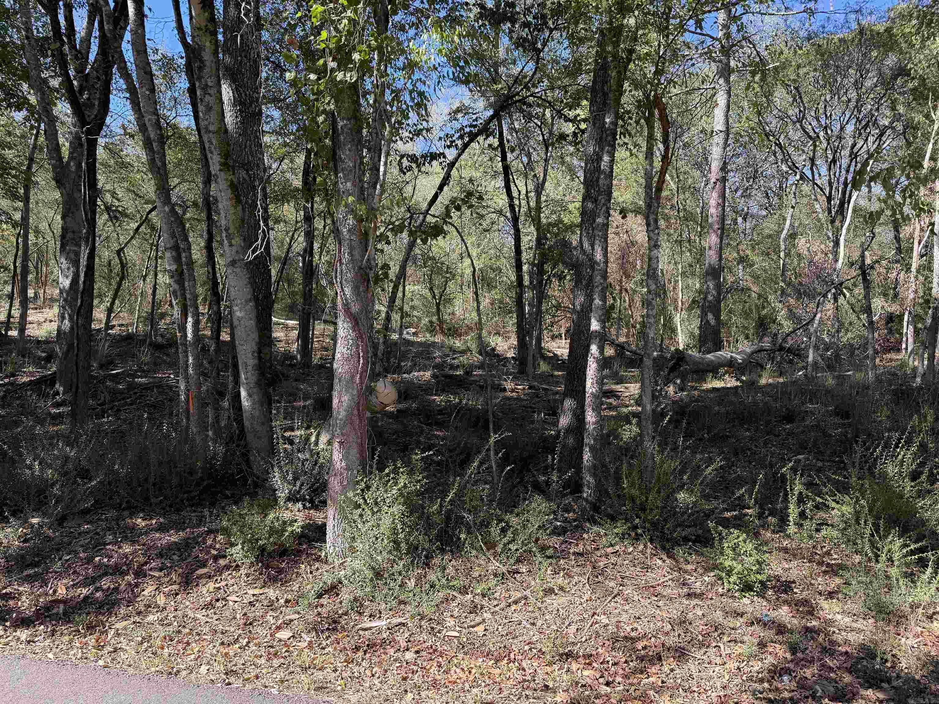00 Cozy Acres Property Photo 1