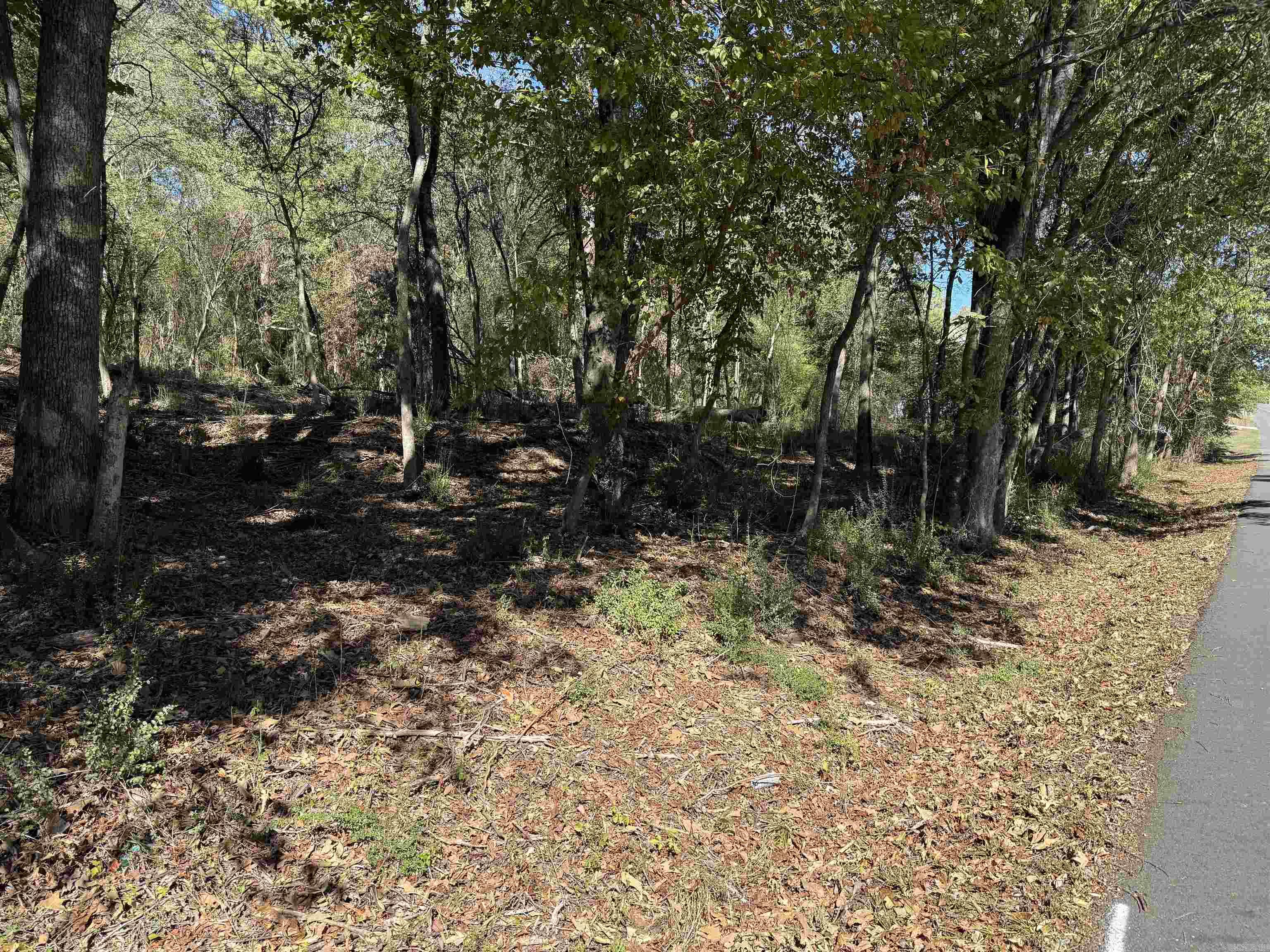 00 Cozy Acres Property Photo 3