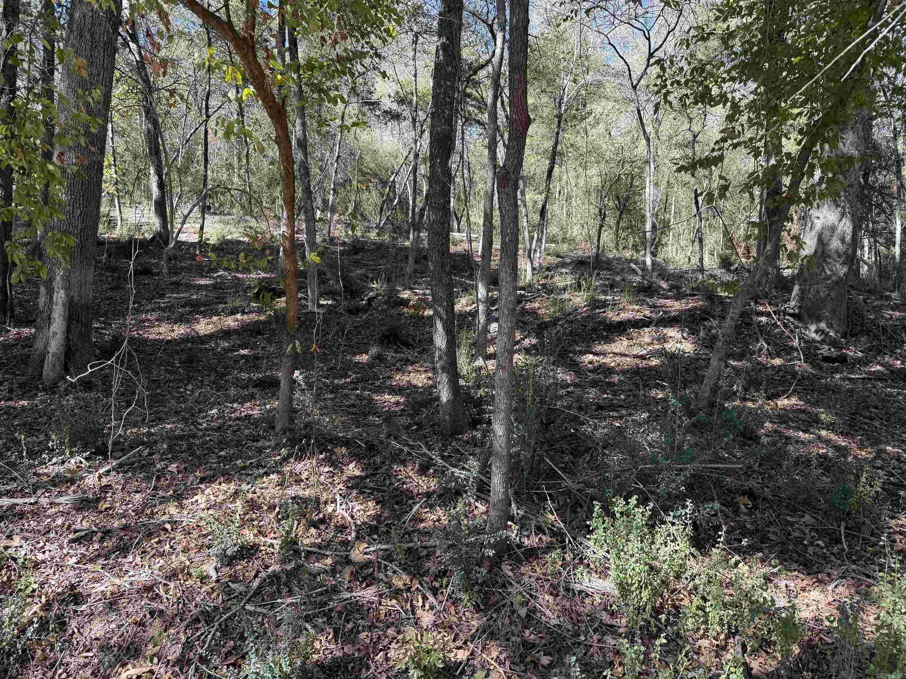 00 Cozy Acres Property Photo 5
