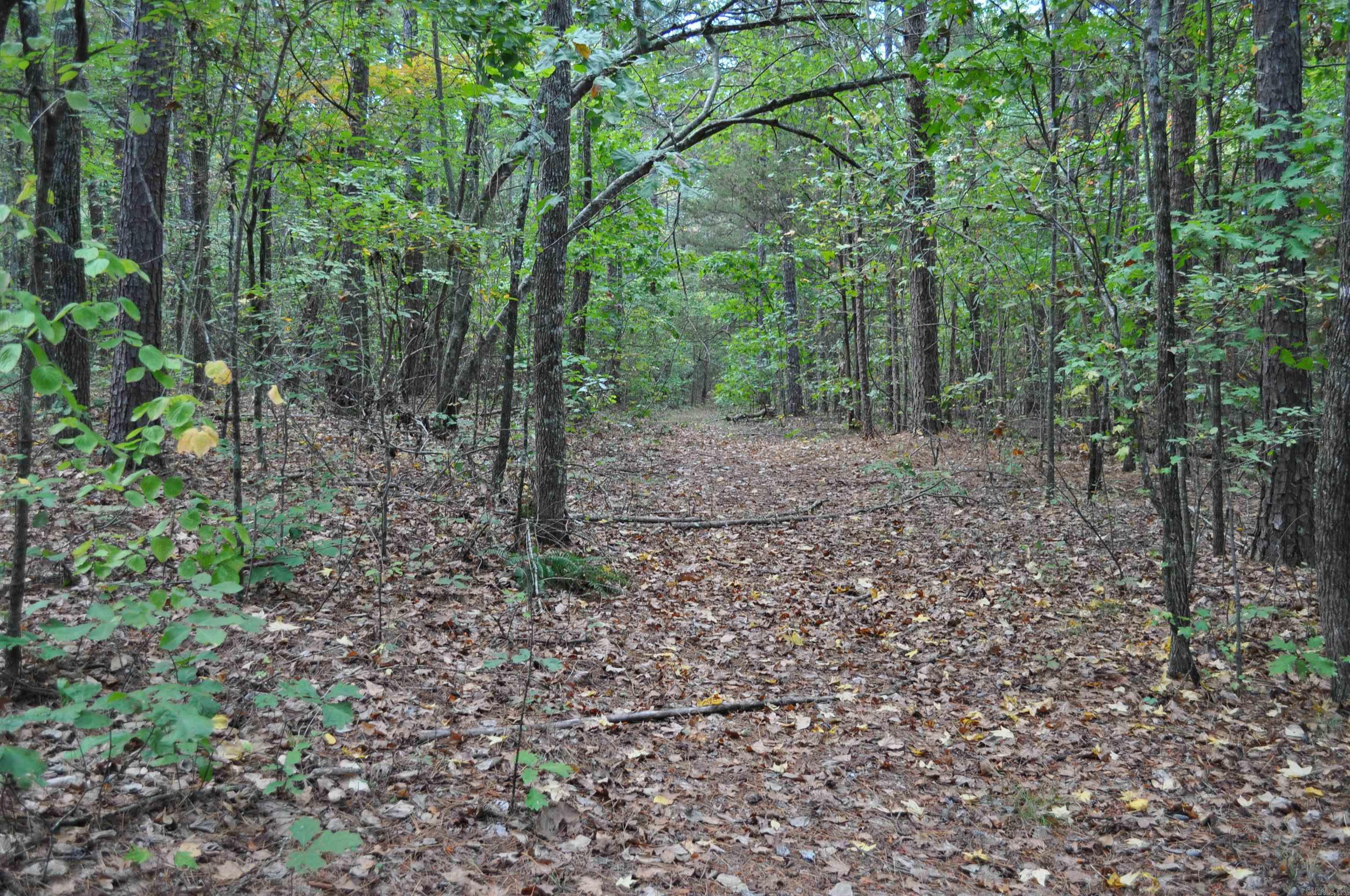 000 Skip Lane Property Photo 1