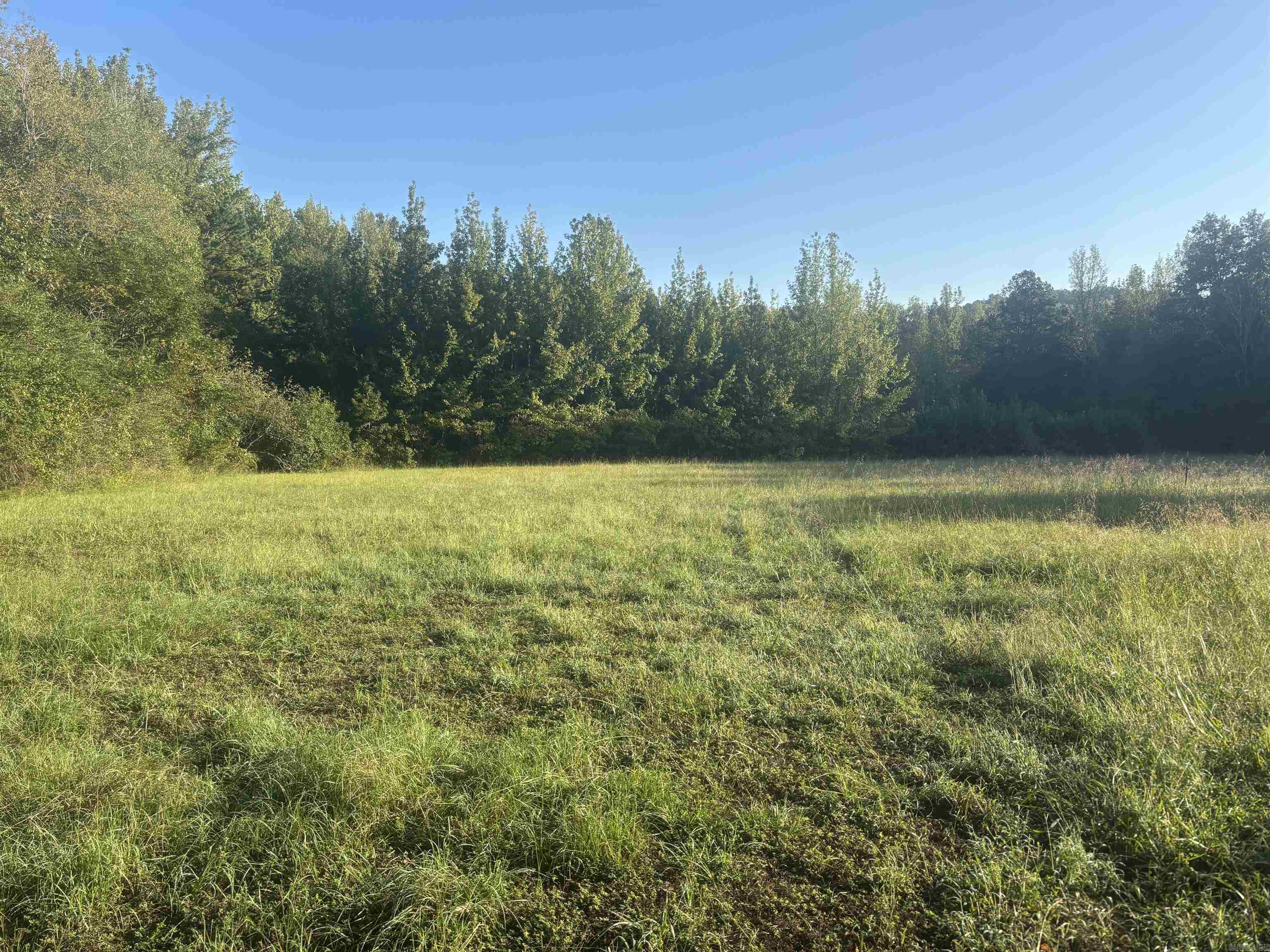 2226 Barrens Loop Property Photo 2