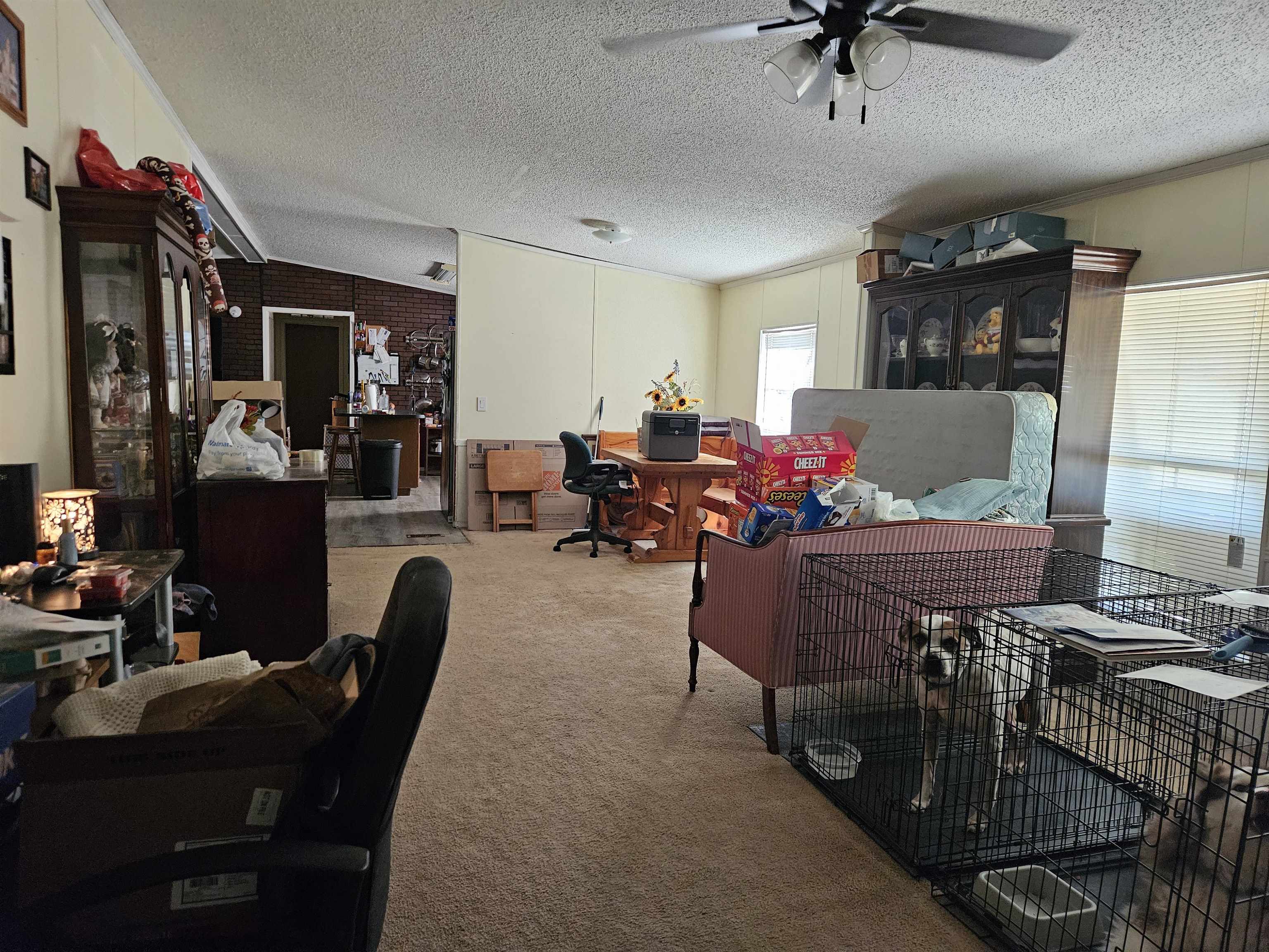 135 Apple Blossom Ln Property Photo 4