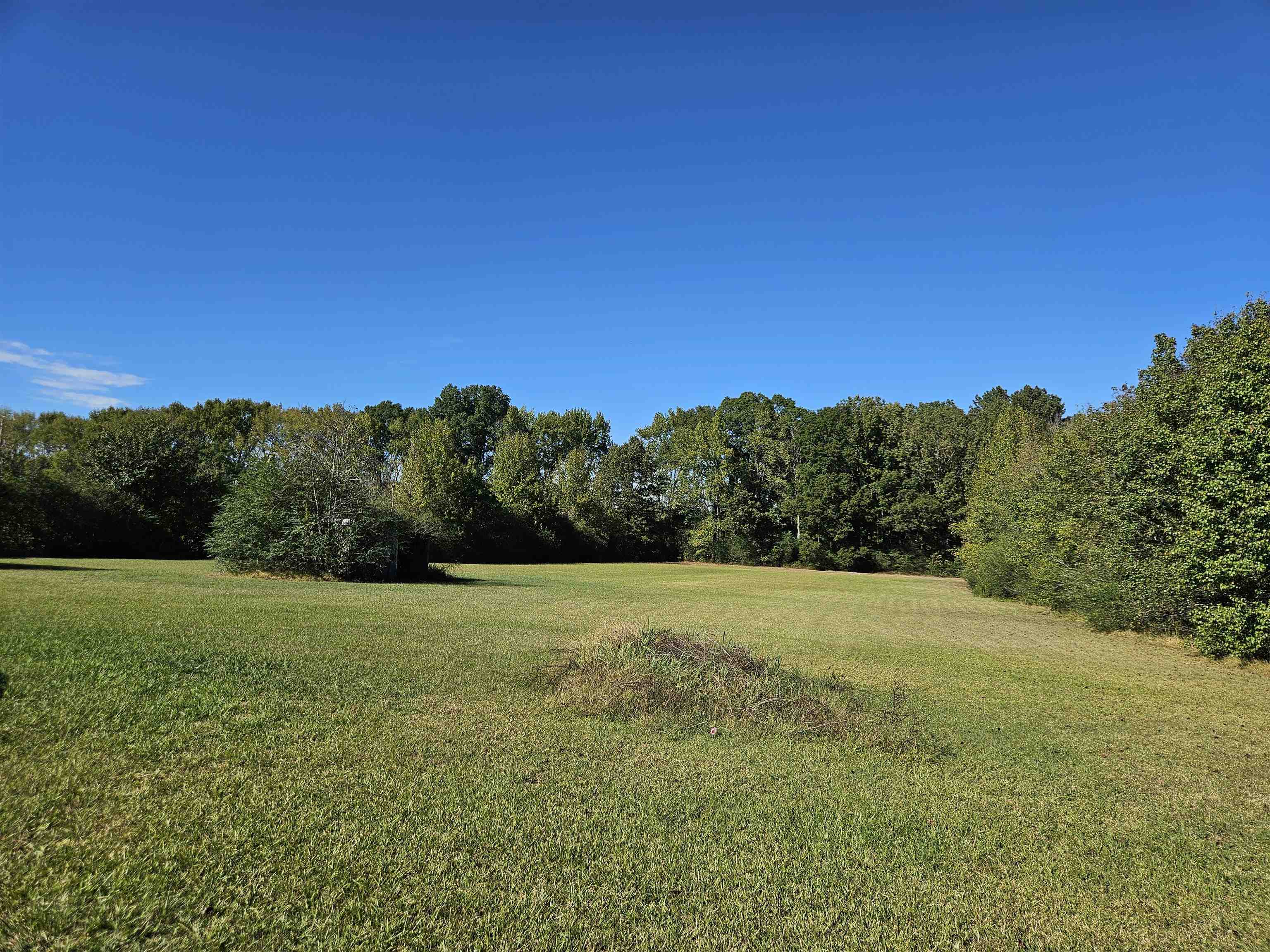 135 Apple Blossom Ln Property Photo 17
