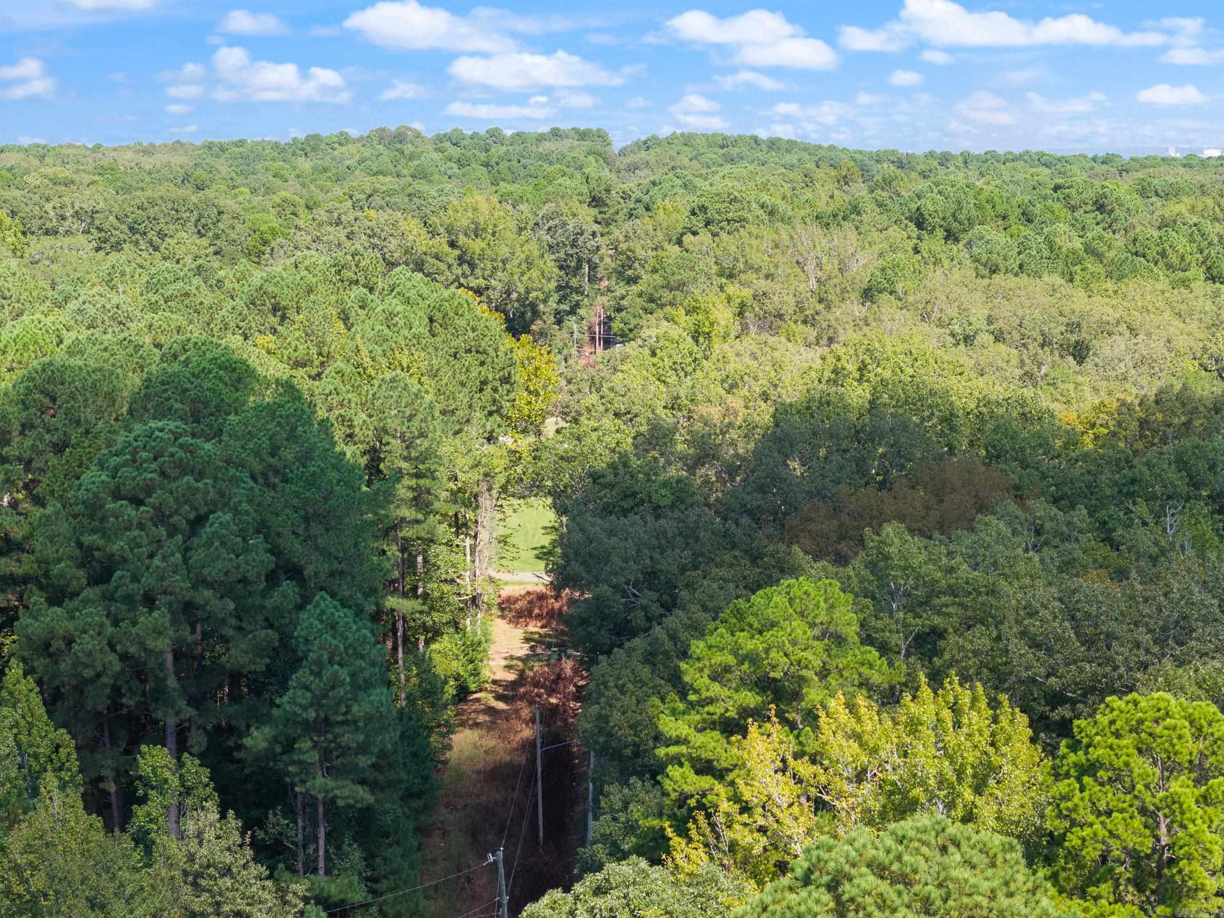 40 Acres Heinke Road Property Photo 6