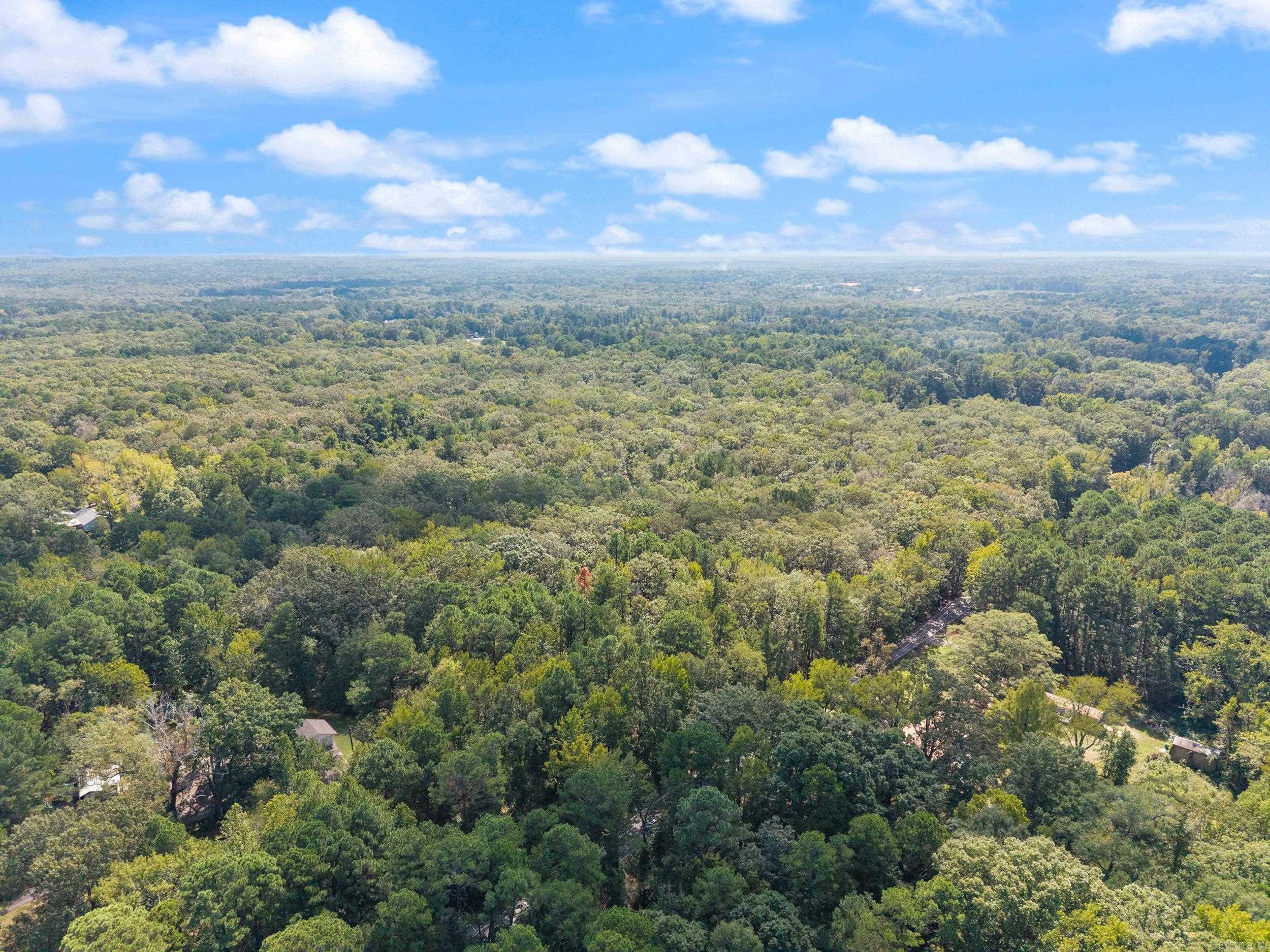 40 Acres Heinke Road Property Photo 11