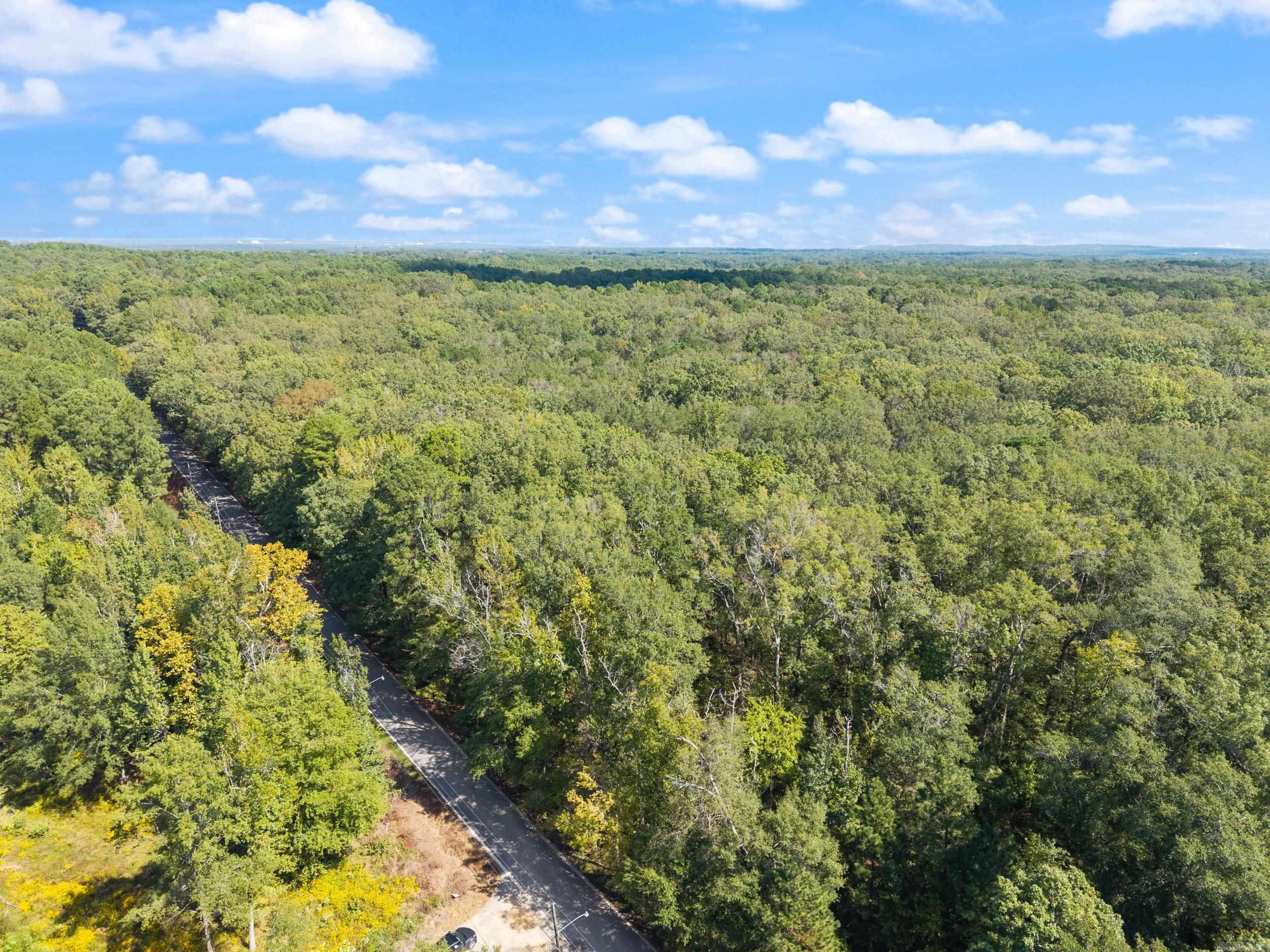 40 Acres Heinke Road Property Photo 13