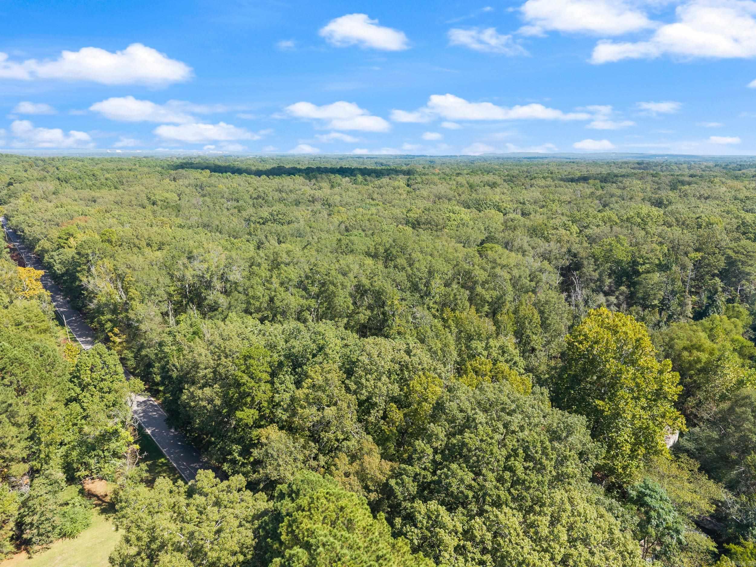 40 Acres Heinke Road Property Photo 14