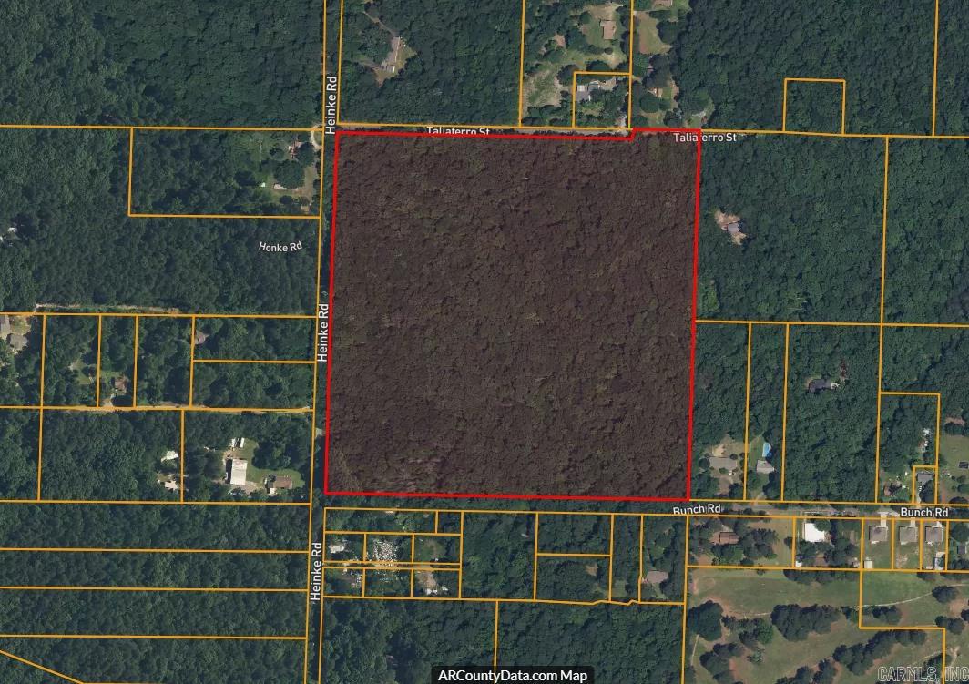 40 Acres Heinke Road Property Photo 15