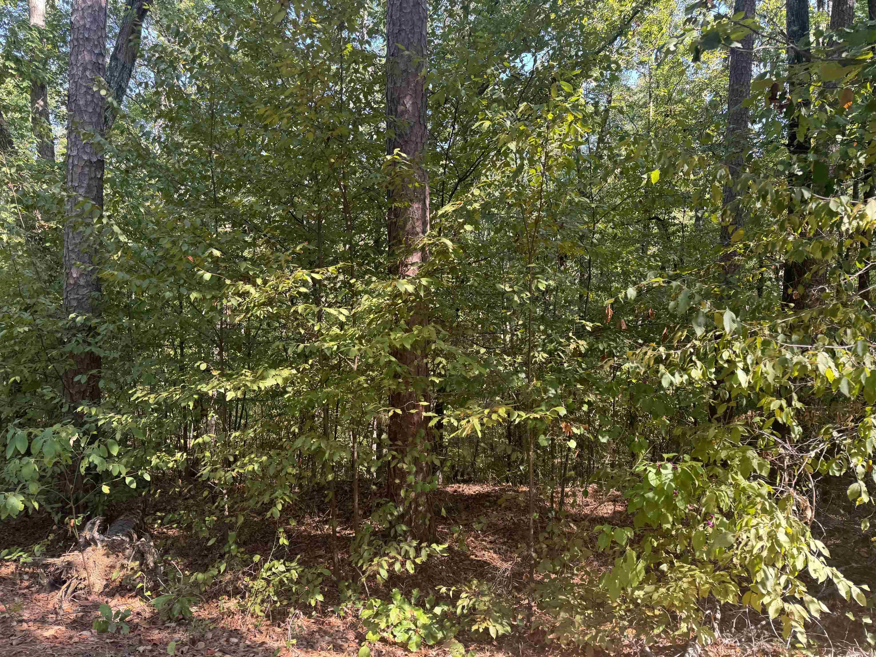 0000 Prysock Road Property Photo 2