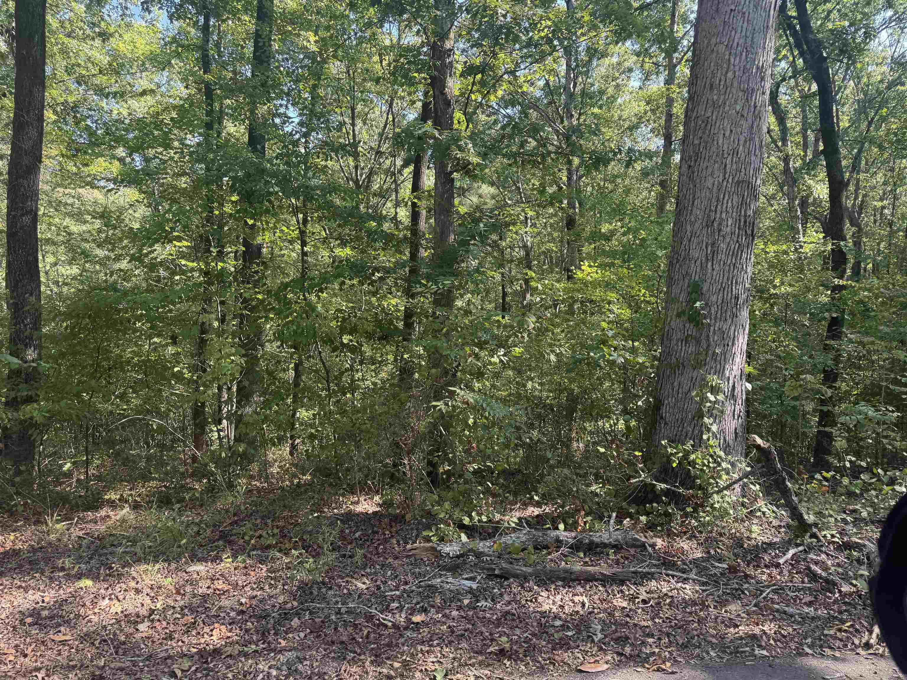 0000 Prysock Road Property Photo 3