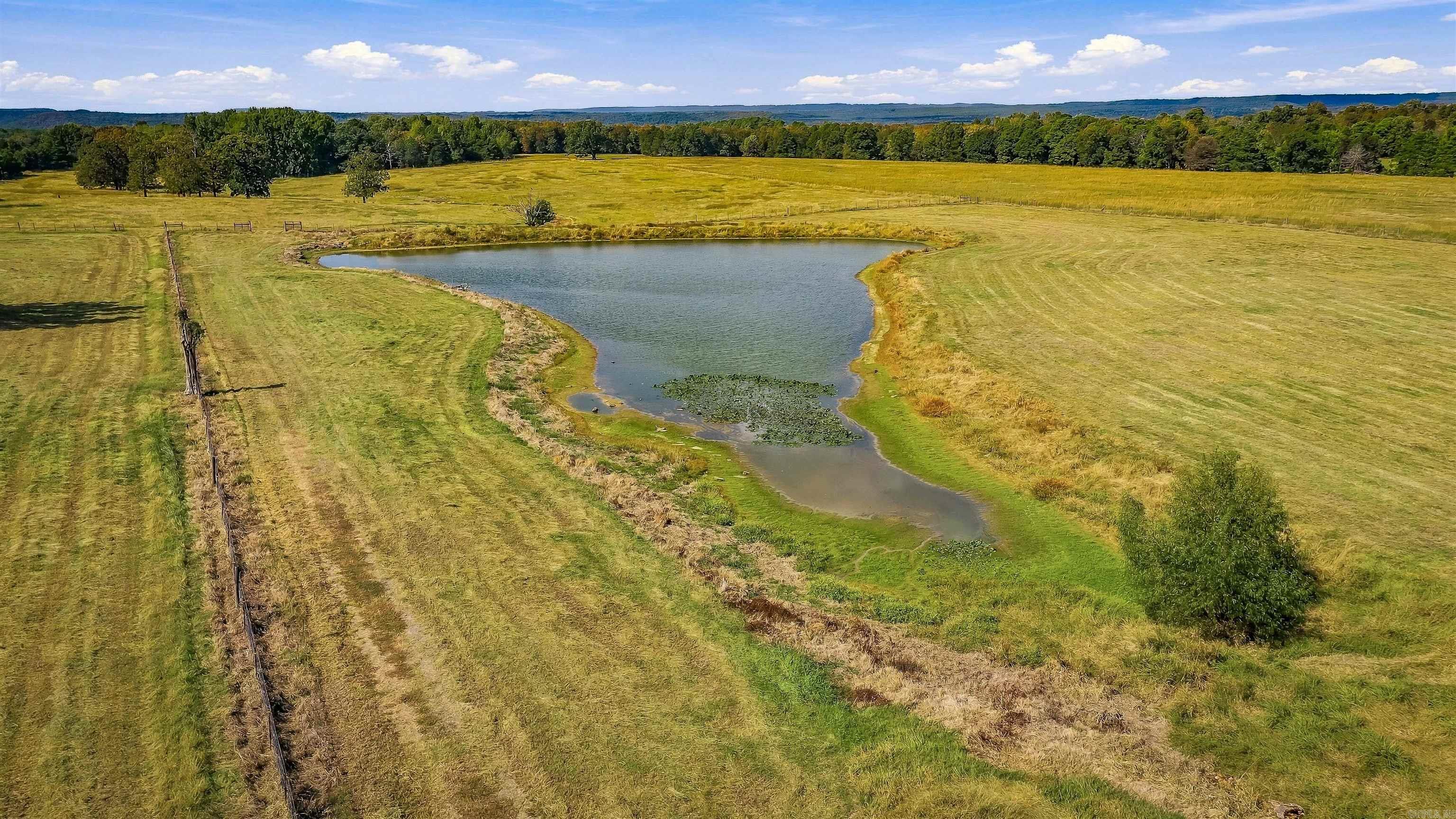 18 Highway 124 Property Photo 39