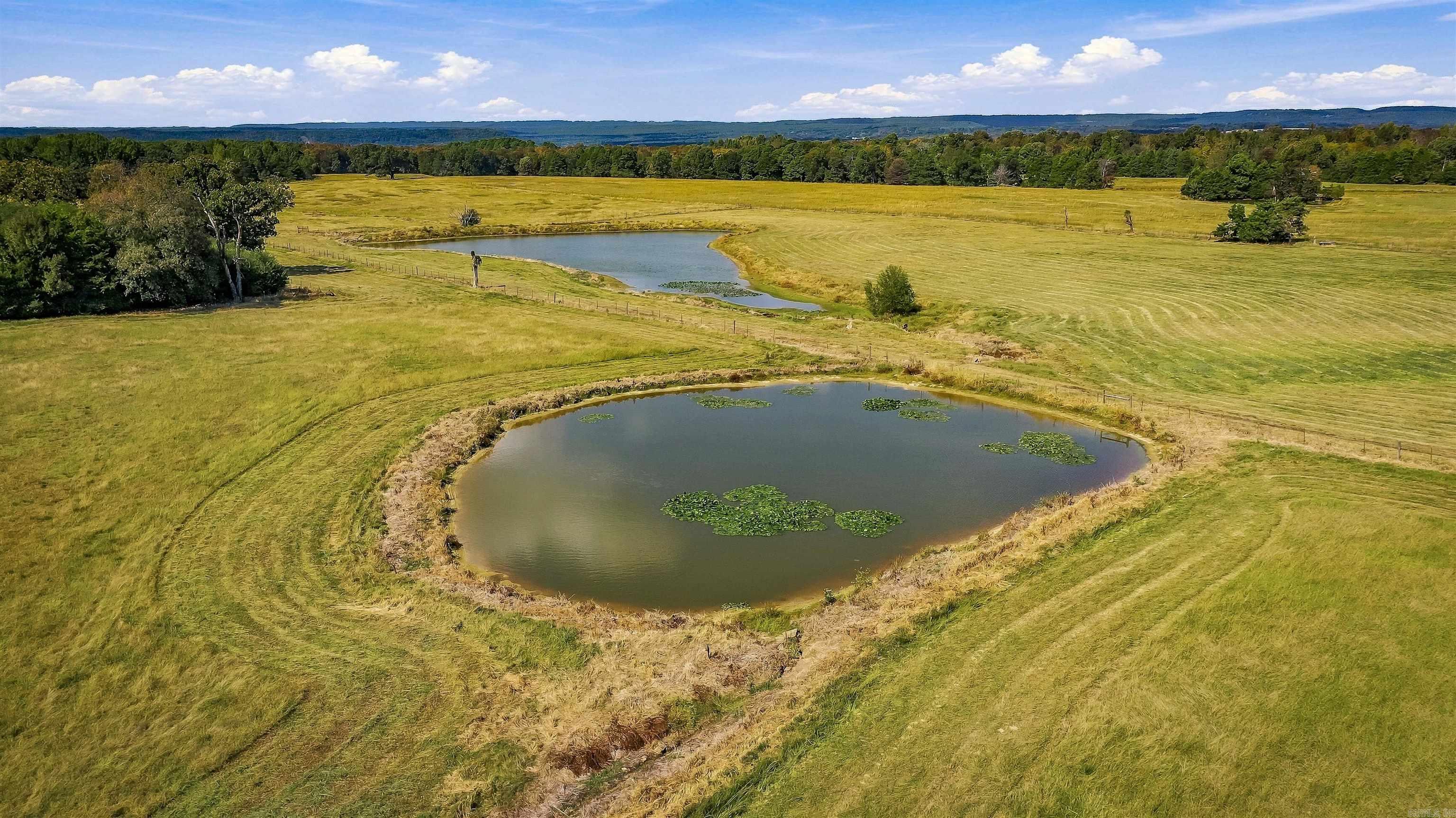 18 Highway 124 Property Photo 40