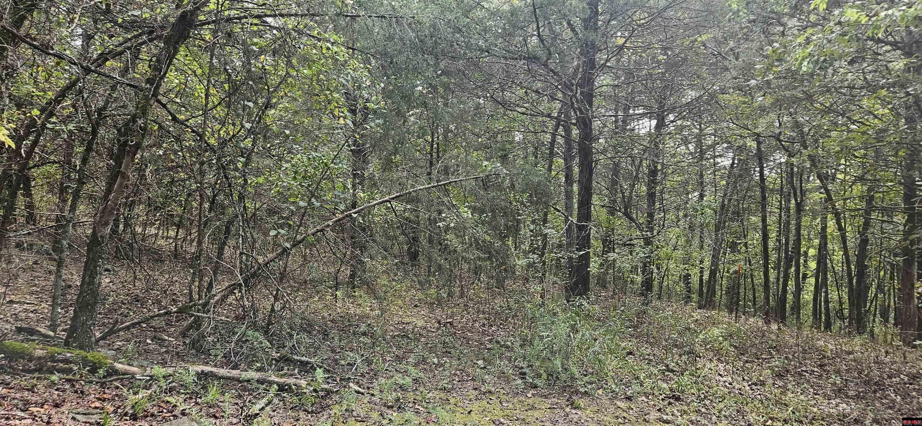 00 Cr 638 Property Photo 2