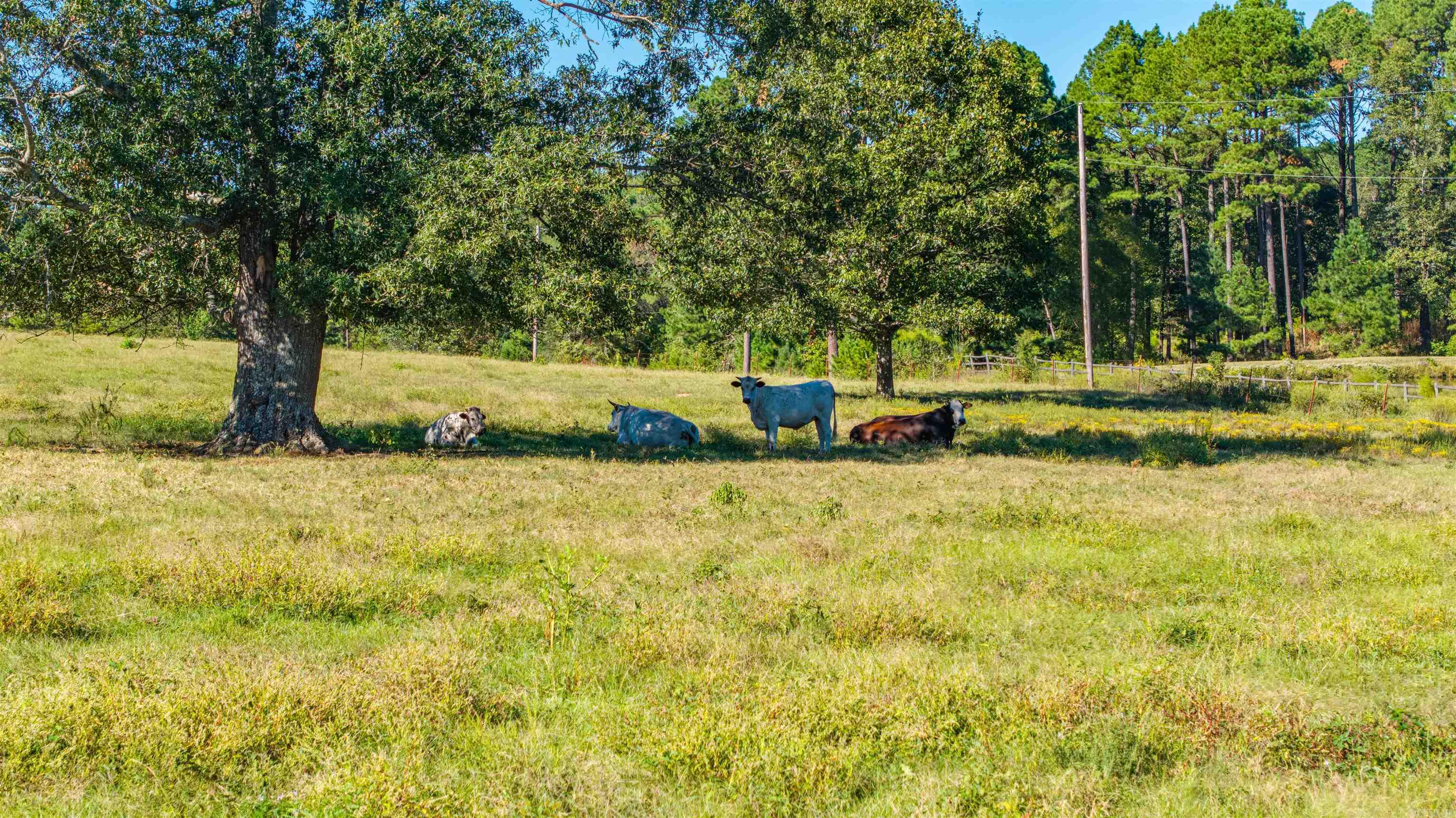 Lot A Cc Road Property Photo 9