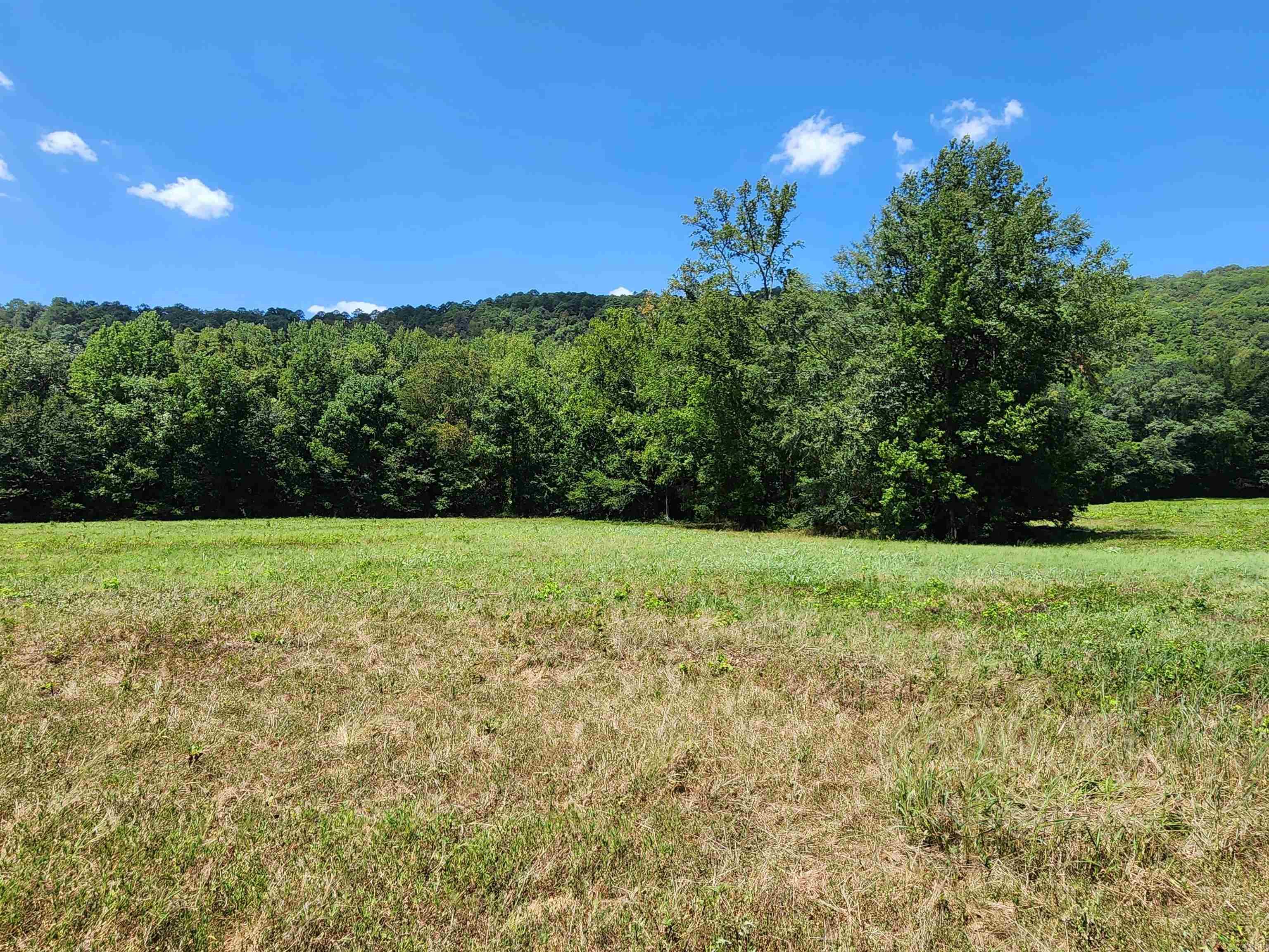 00 Ramer Ford Road Property Photo 22