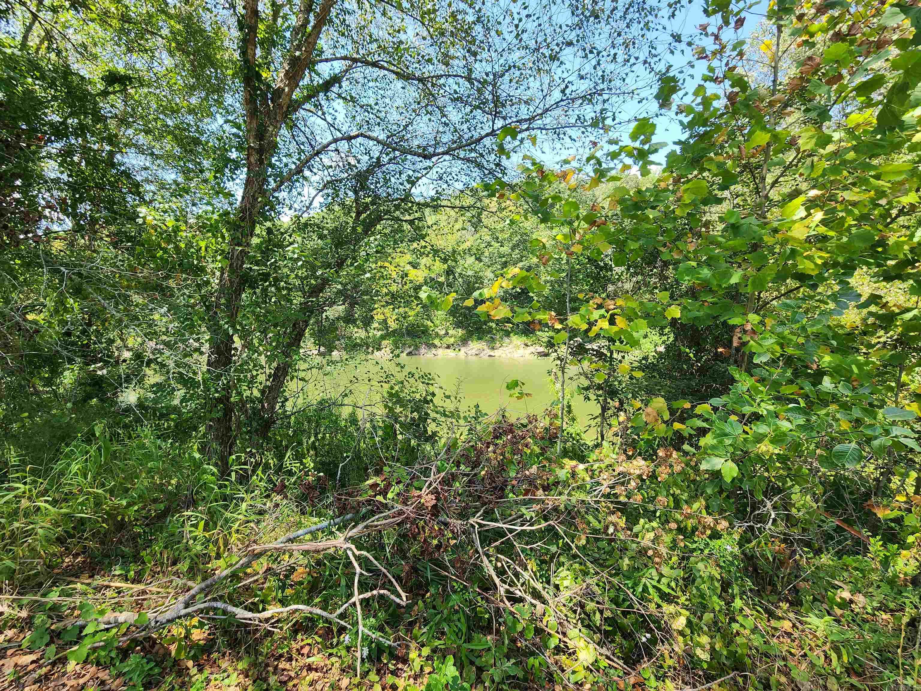 00 Ramer Ford Road Property Photo 26