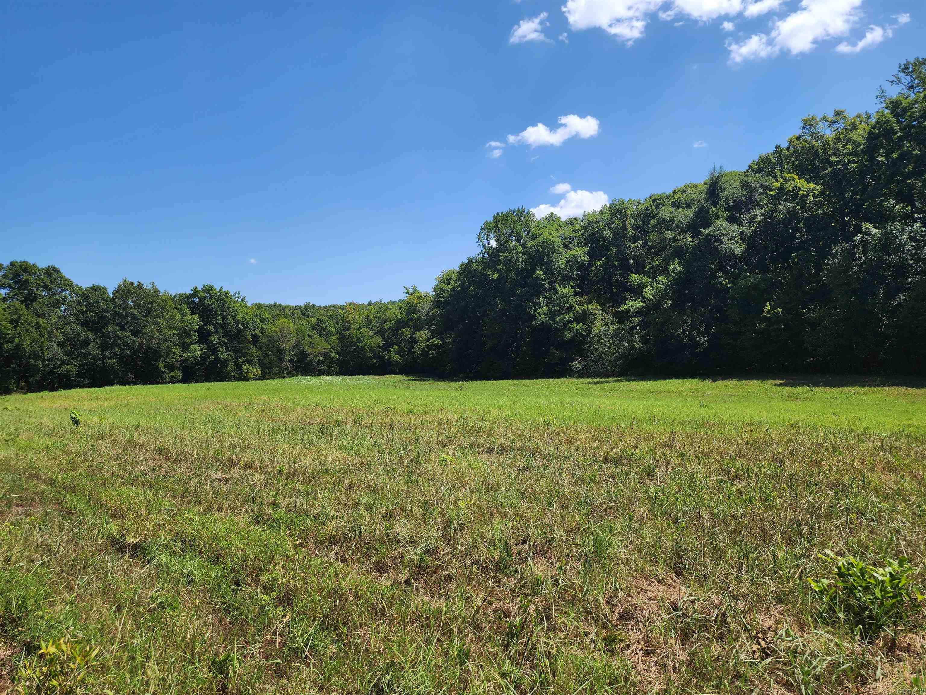 00 Ramer Ford Road Property Photo 28