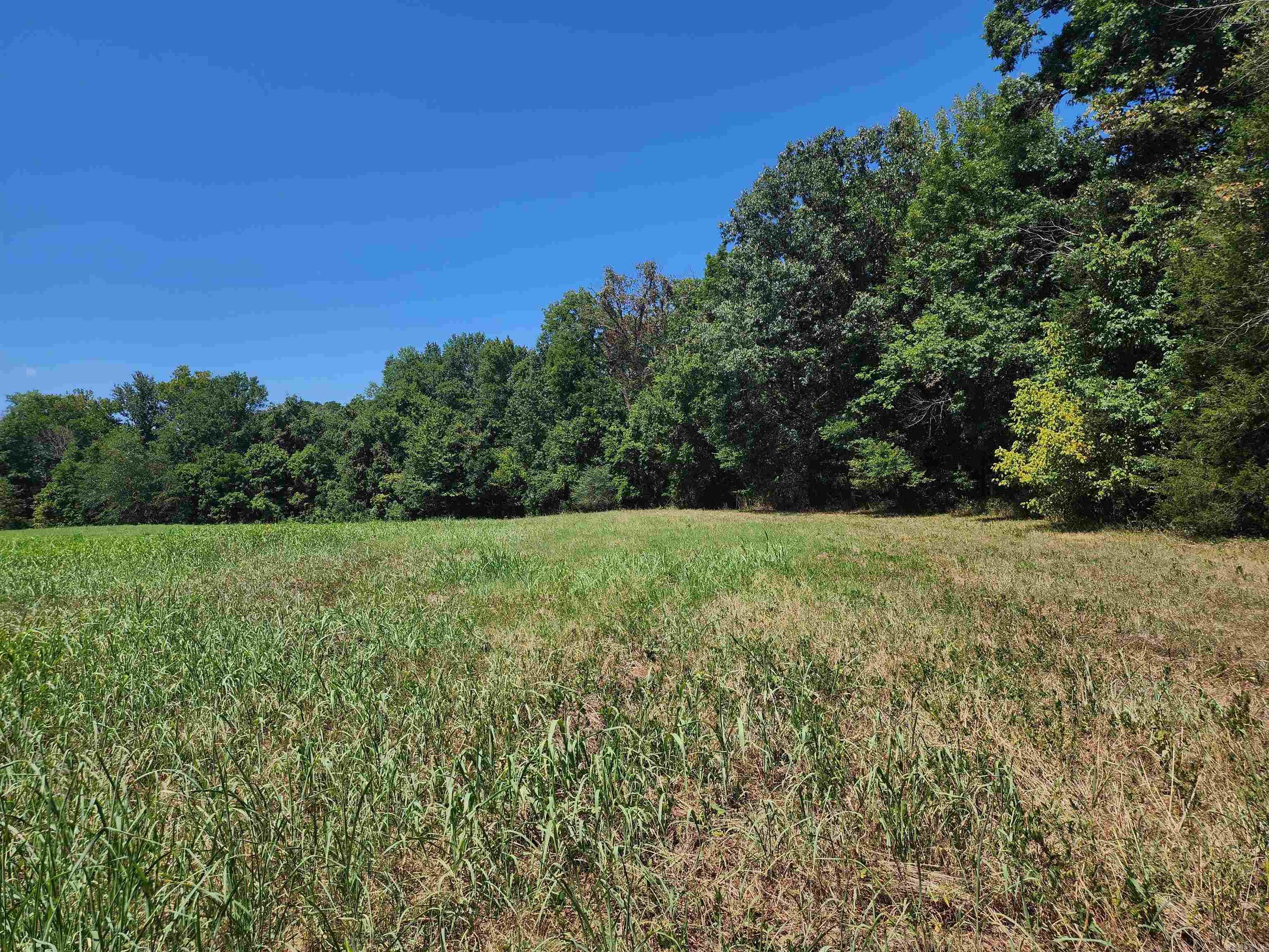 00 Ramer Ford Road Property Photo 31