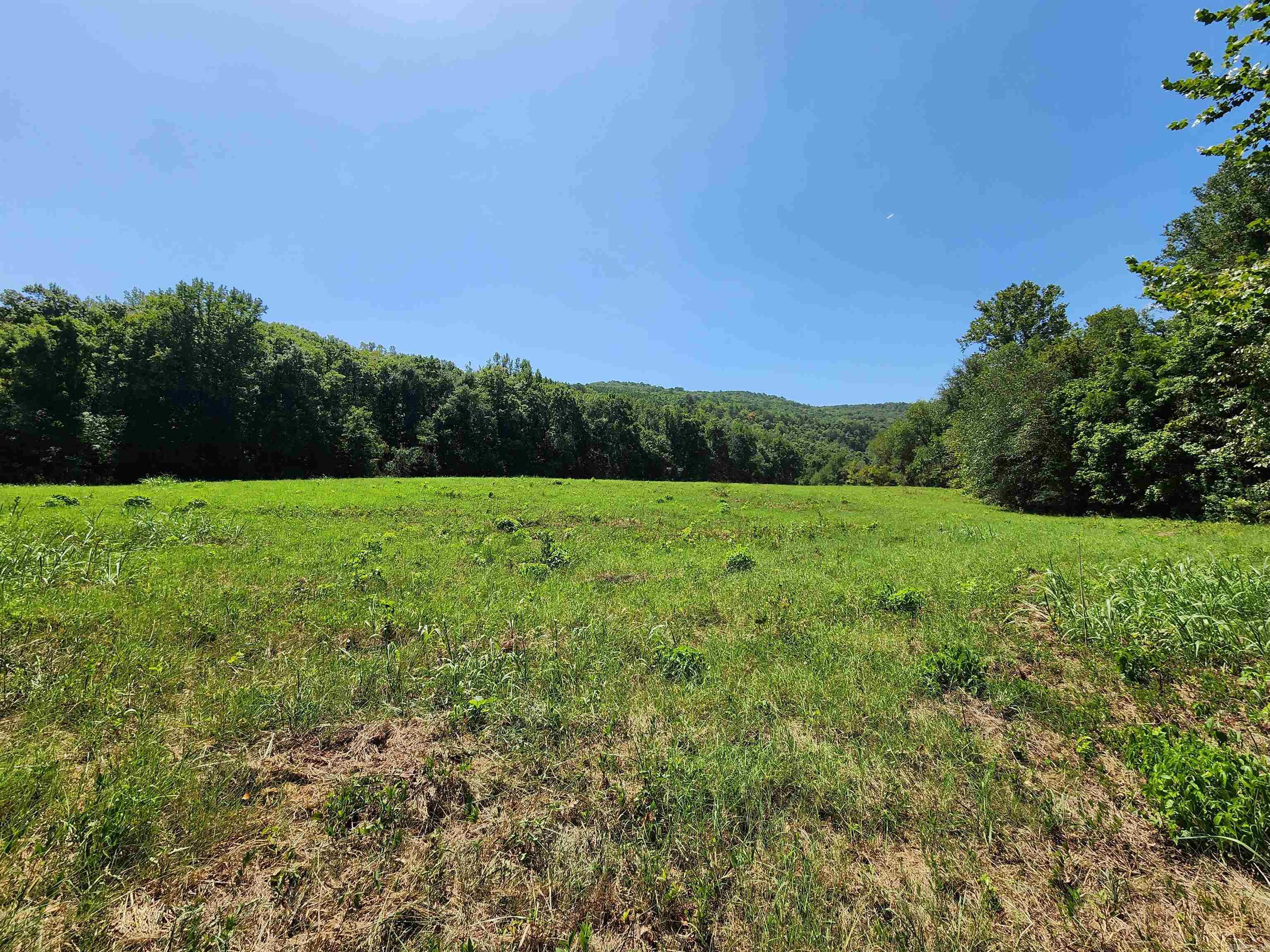 00 Ramer Ford Road Property Photo 32