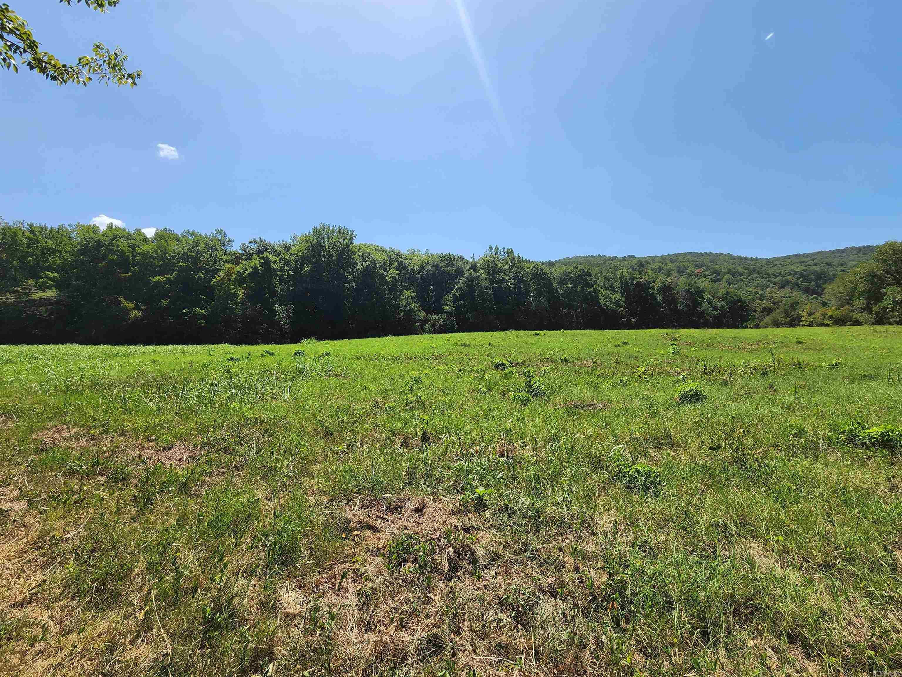 00 Ramer Ford Road Property Photo 37