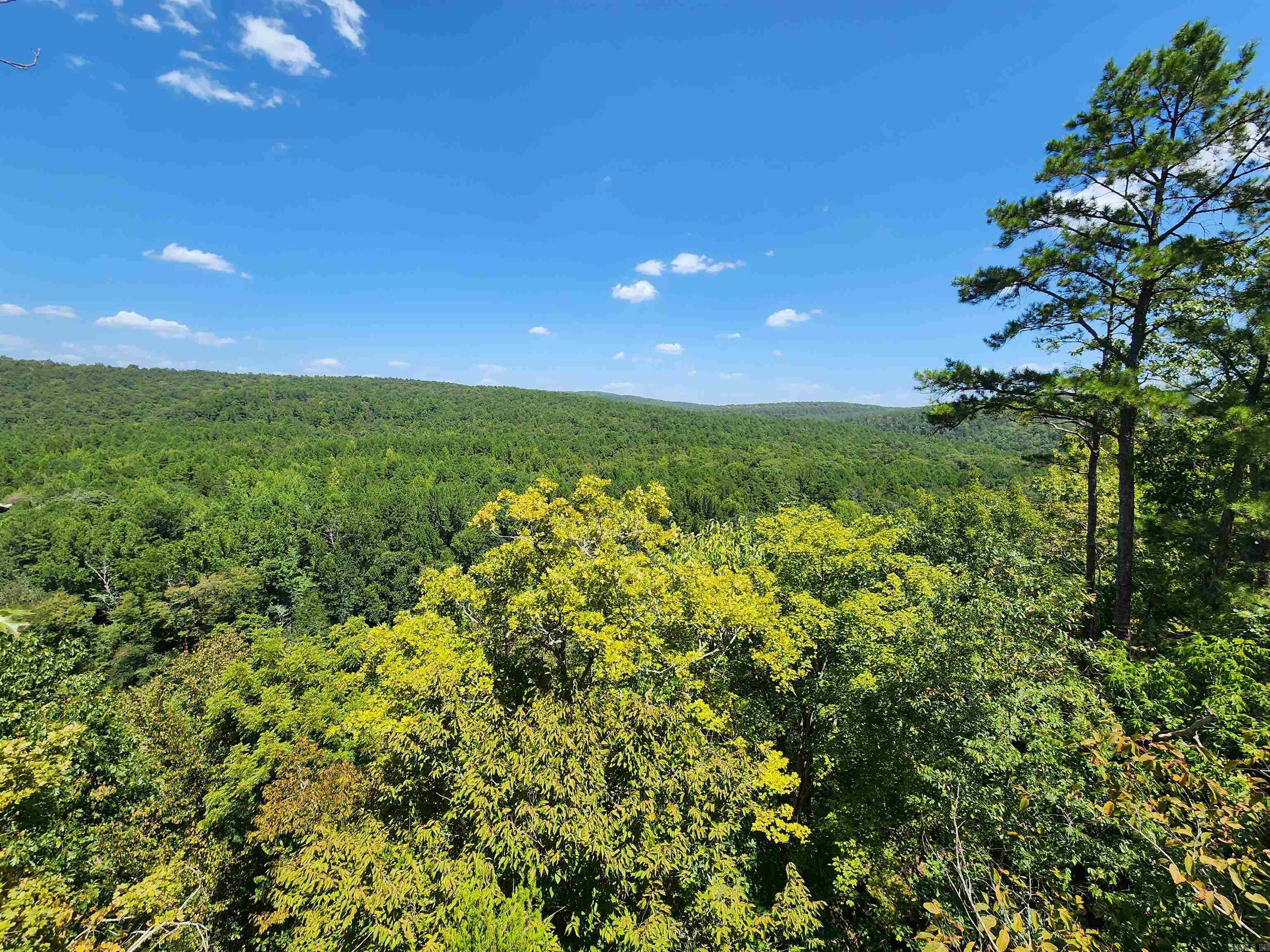 00 Ramer Ford Road Property Photo 38
