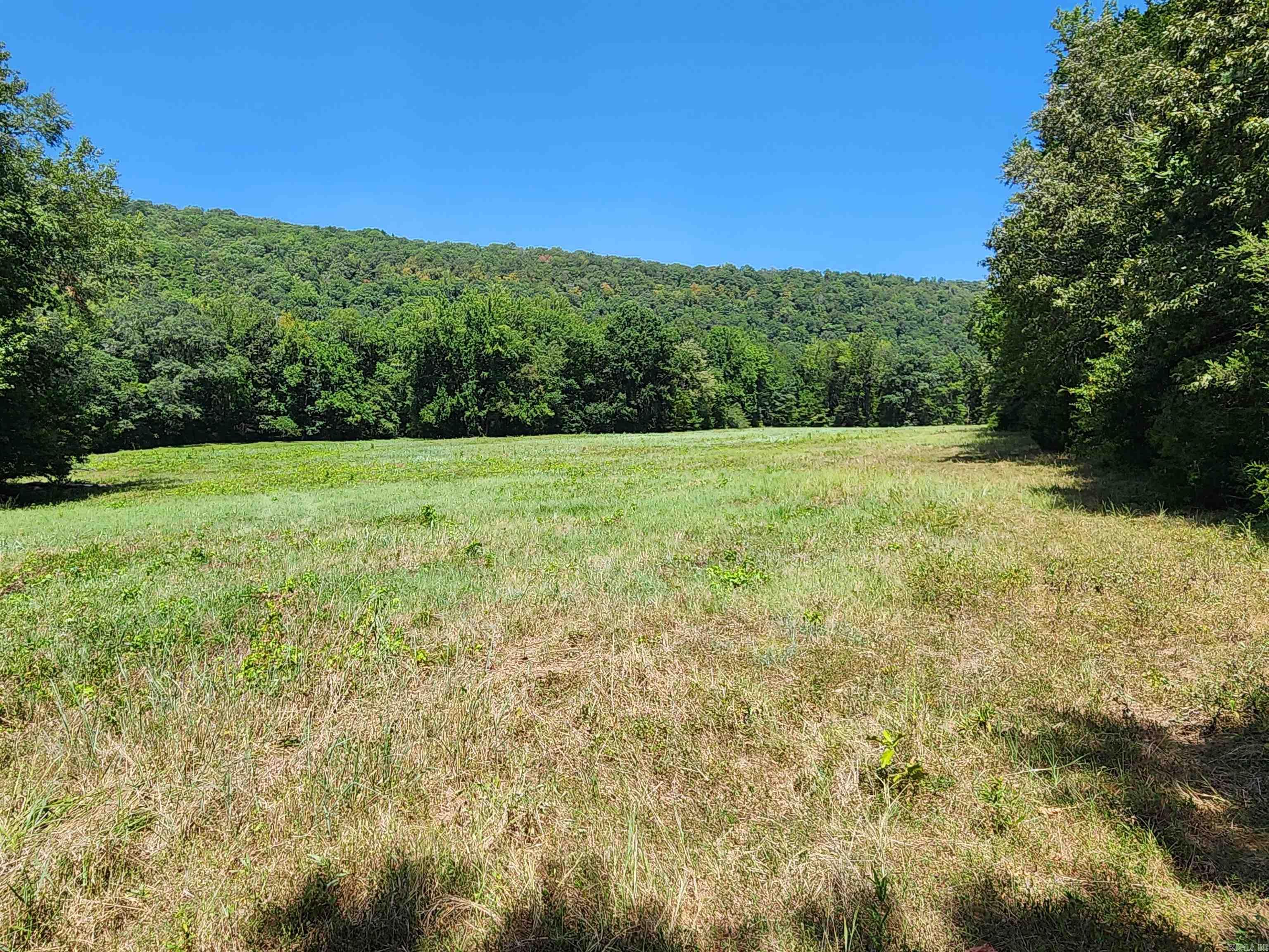 00 Ramer Ford Road Property Photo 39